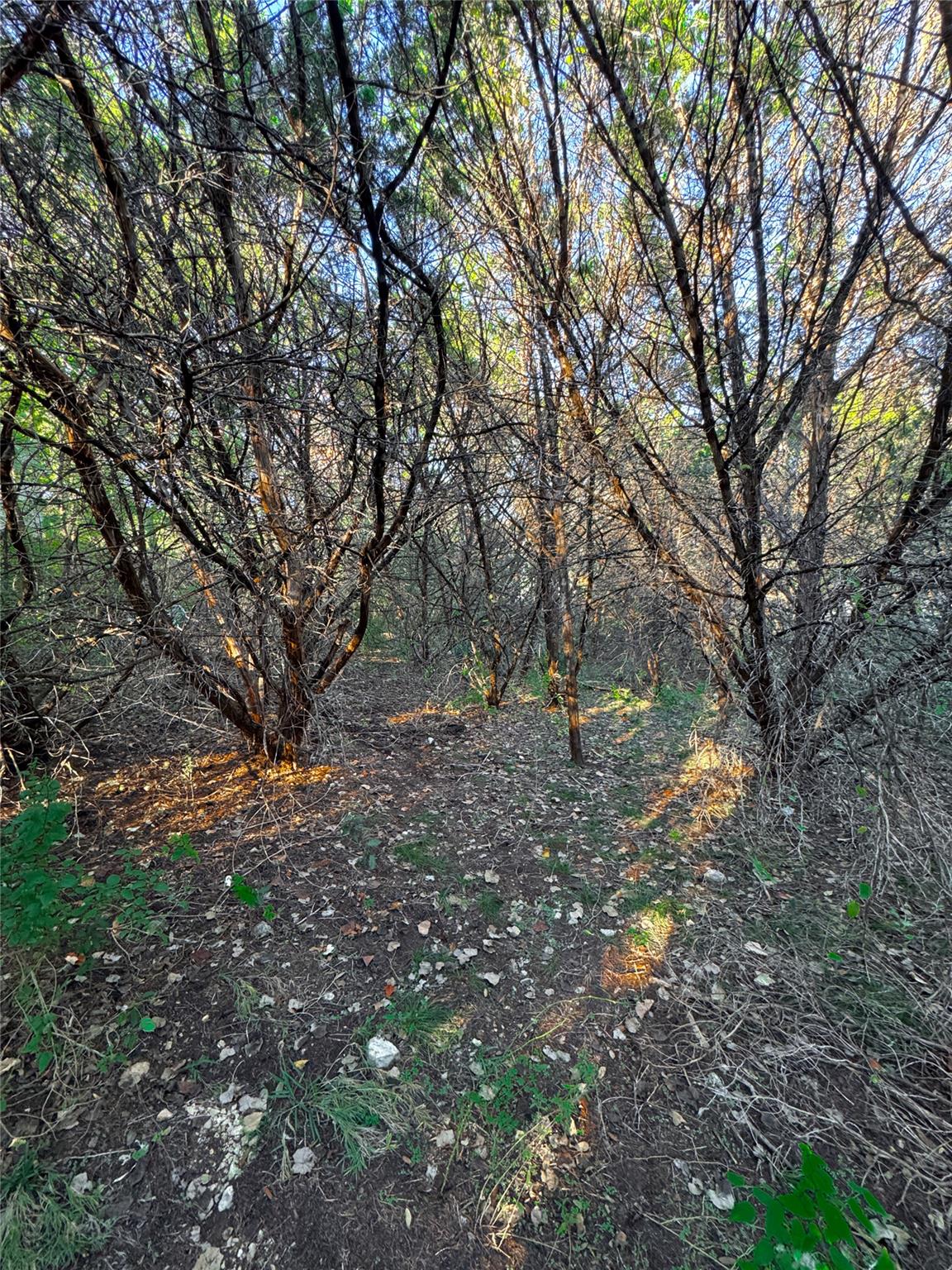 15104 S Flamingo Dr, Austin, TX 78734