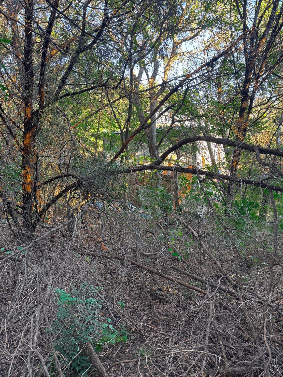 15104 S Flamingo Dr, Austin, TX 78734