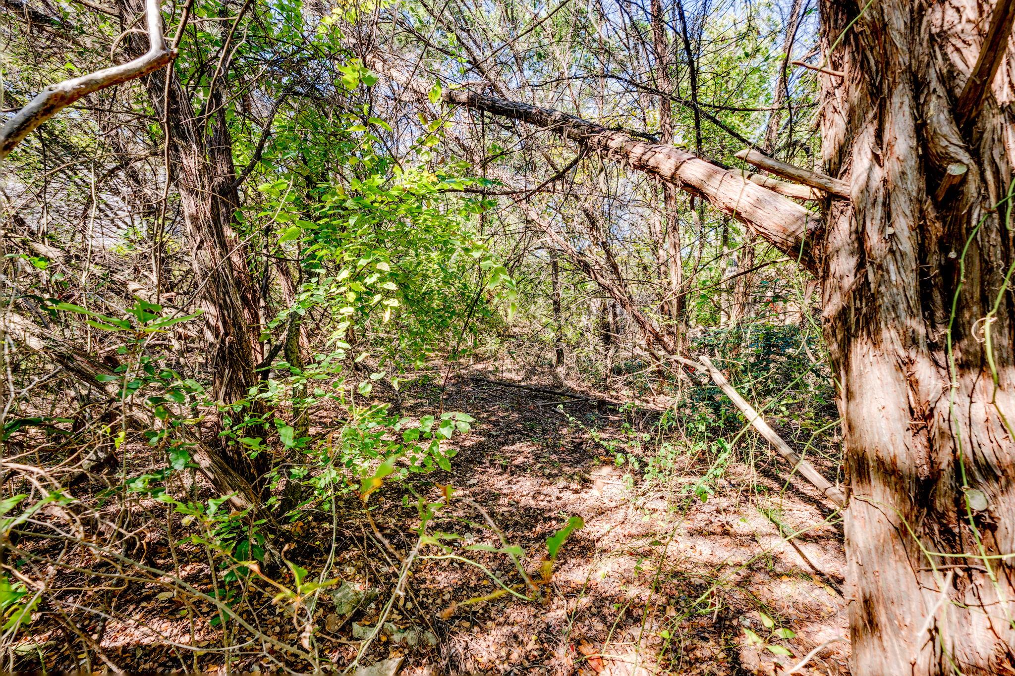 15104 S Flamingo Dr, Austin, TX 78734