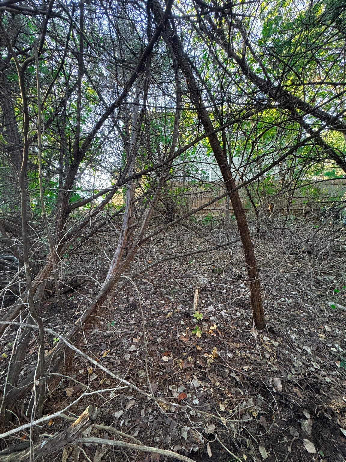 15104 S Flamingo Dr, Austin, TX 78734