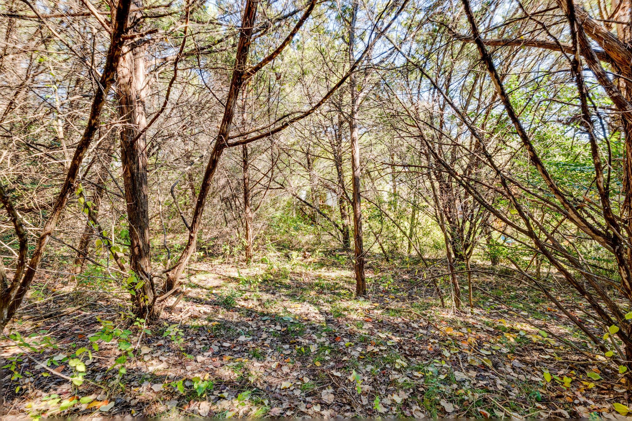 15104 S Flamingo Dr, Austin, TX 78734