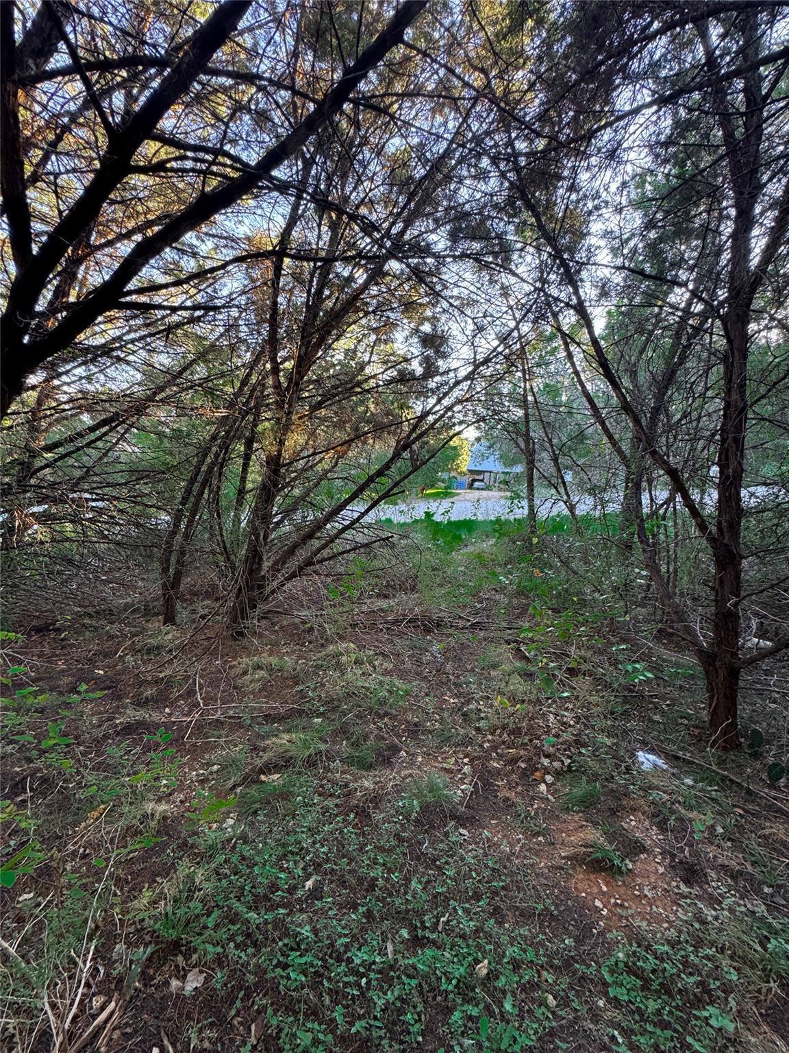 15104 S Flamingo Dr, Austin, TX 78734