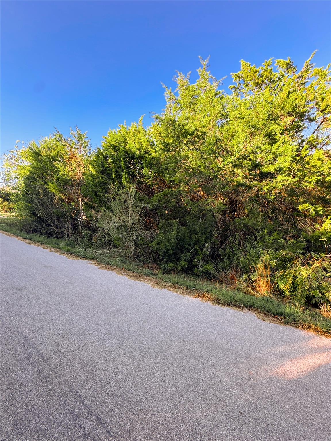 15104 S Flamingo Dr, Austin, TX 78734