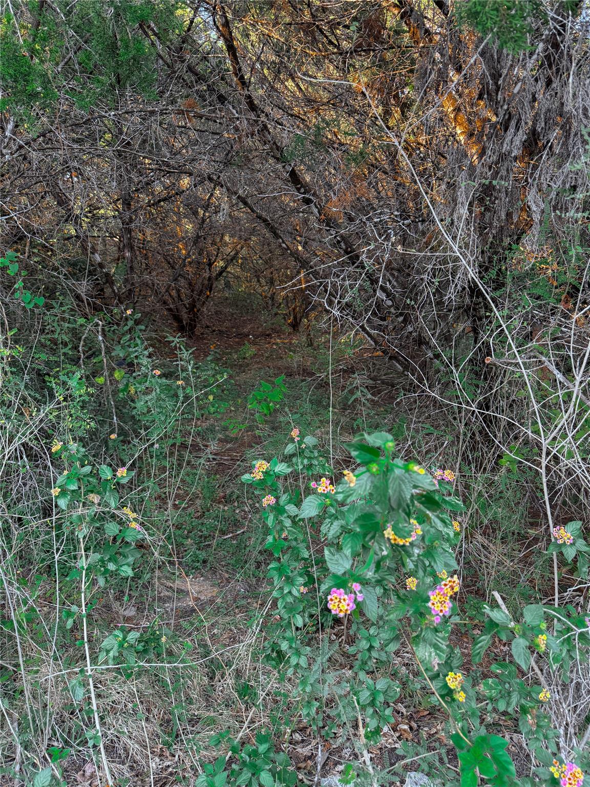 15104 S Flamingo Dr, Austin, TX 78734