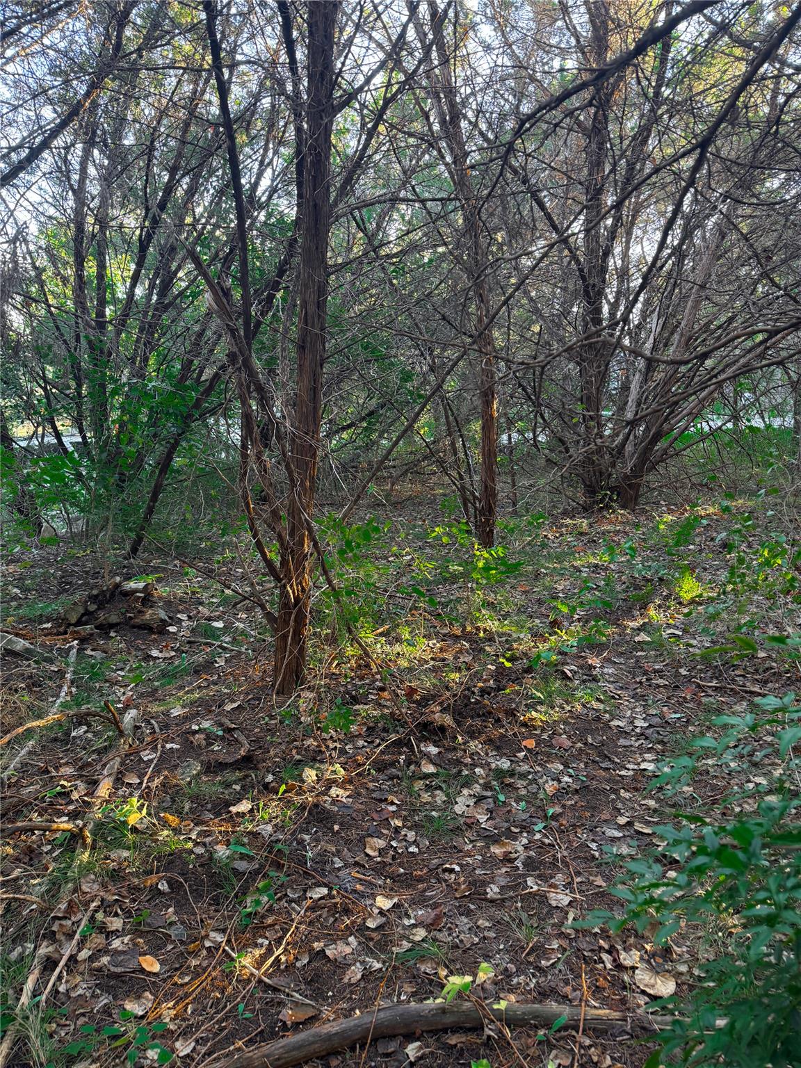 15104 S Flamingo Dr, Austin, TX 78734