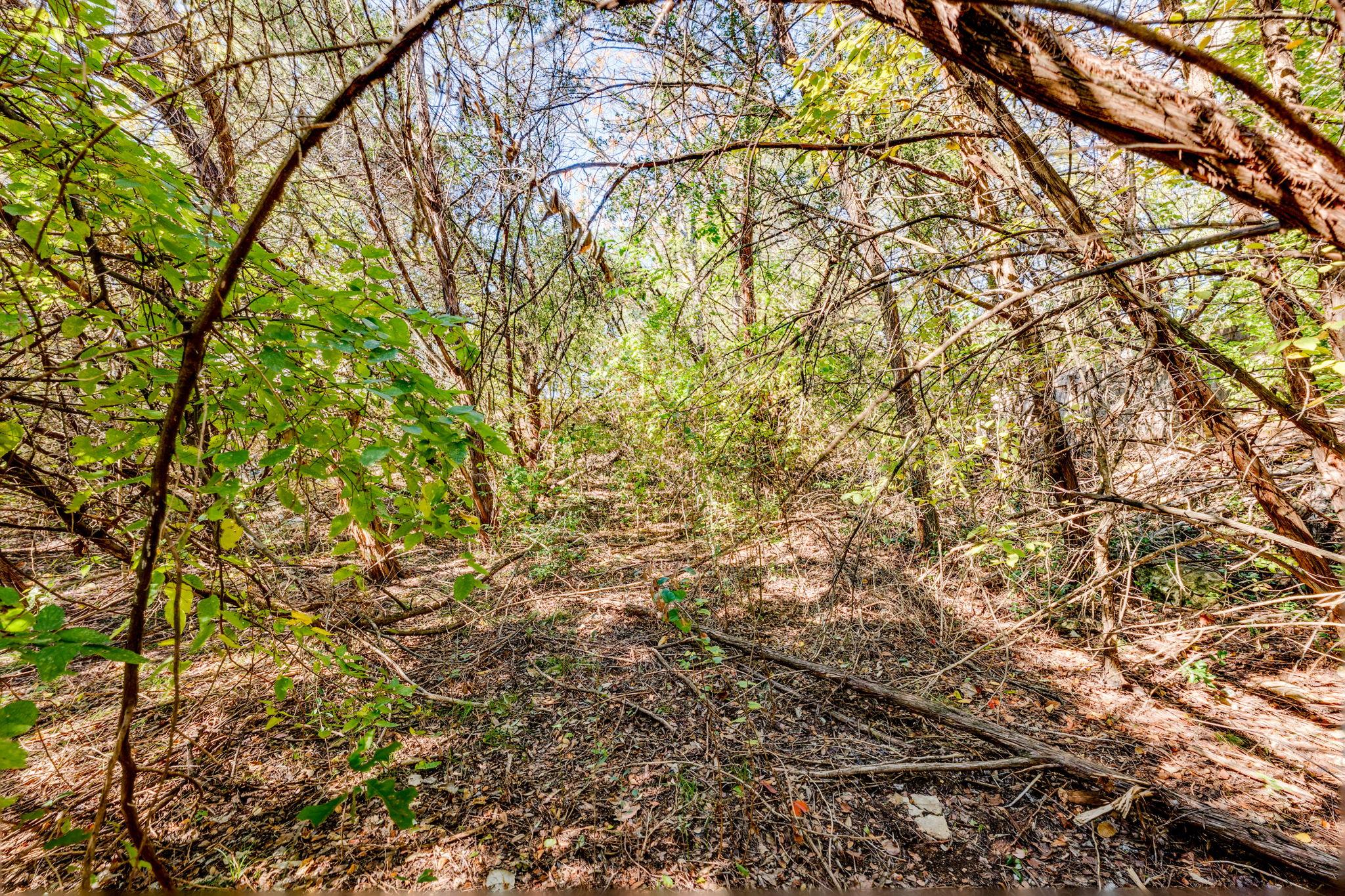 15104 S Flamingo Dr, Austin, TX 78734