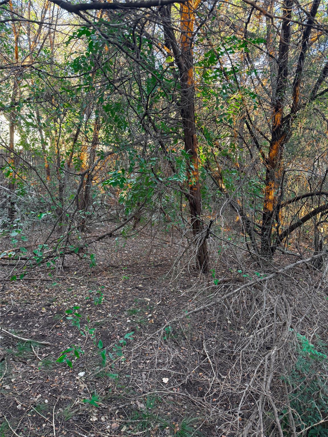 15104 S Flamingo Dr, Austin, TX 78734