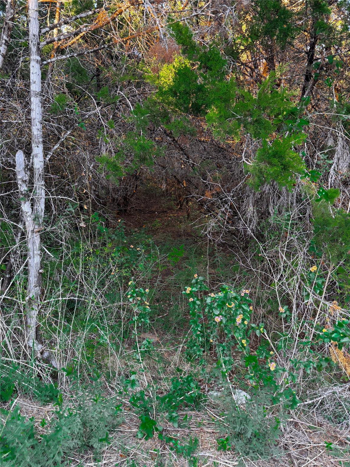 15104 S Flamingo Dr, Austin, TX 78734