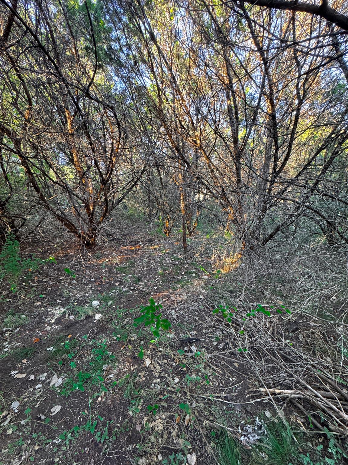 15104 S Flamingo Dr, Austin, TX 78734