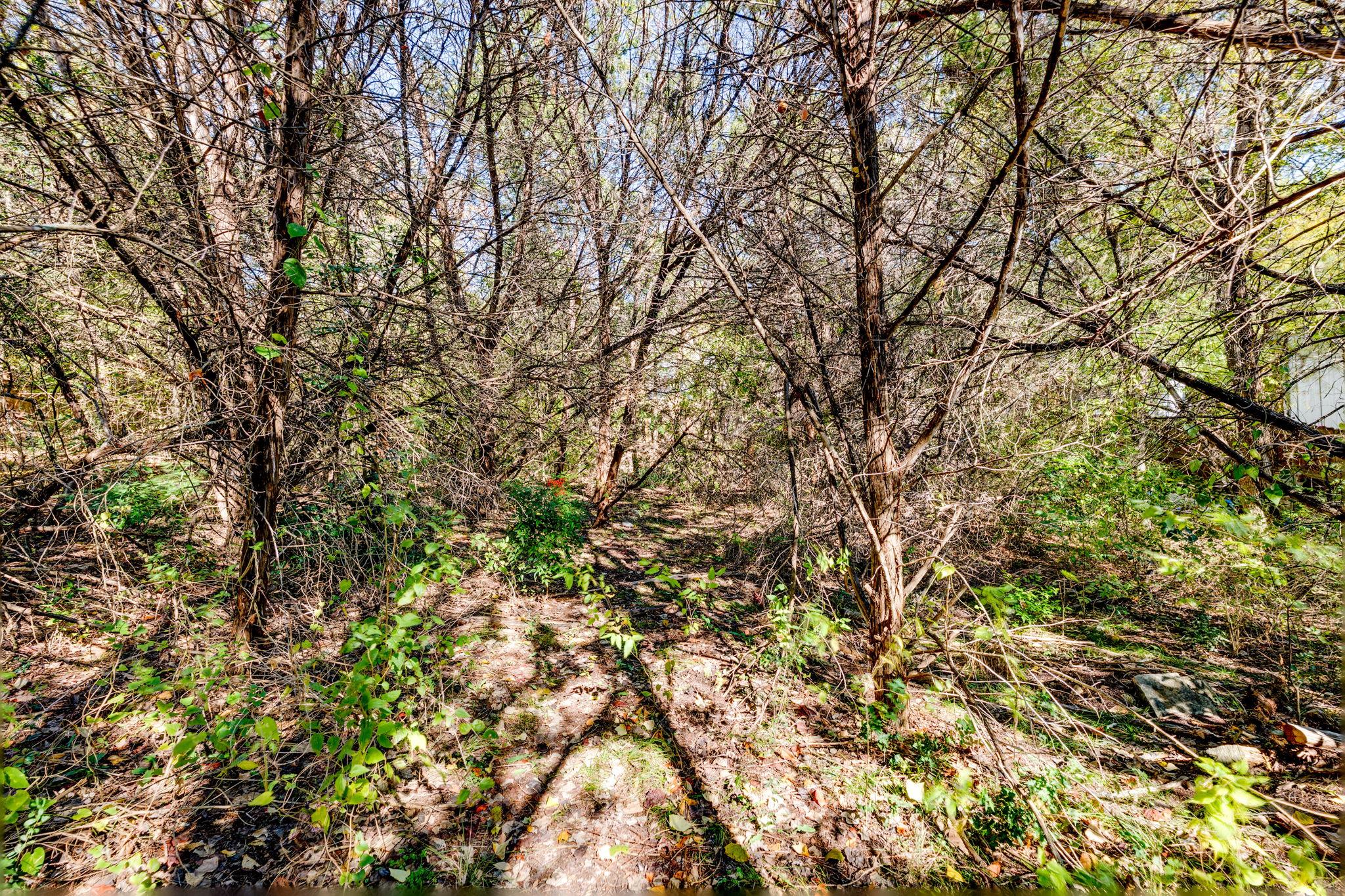 15104 S Flamingo Dr, Austin, TX 78734