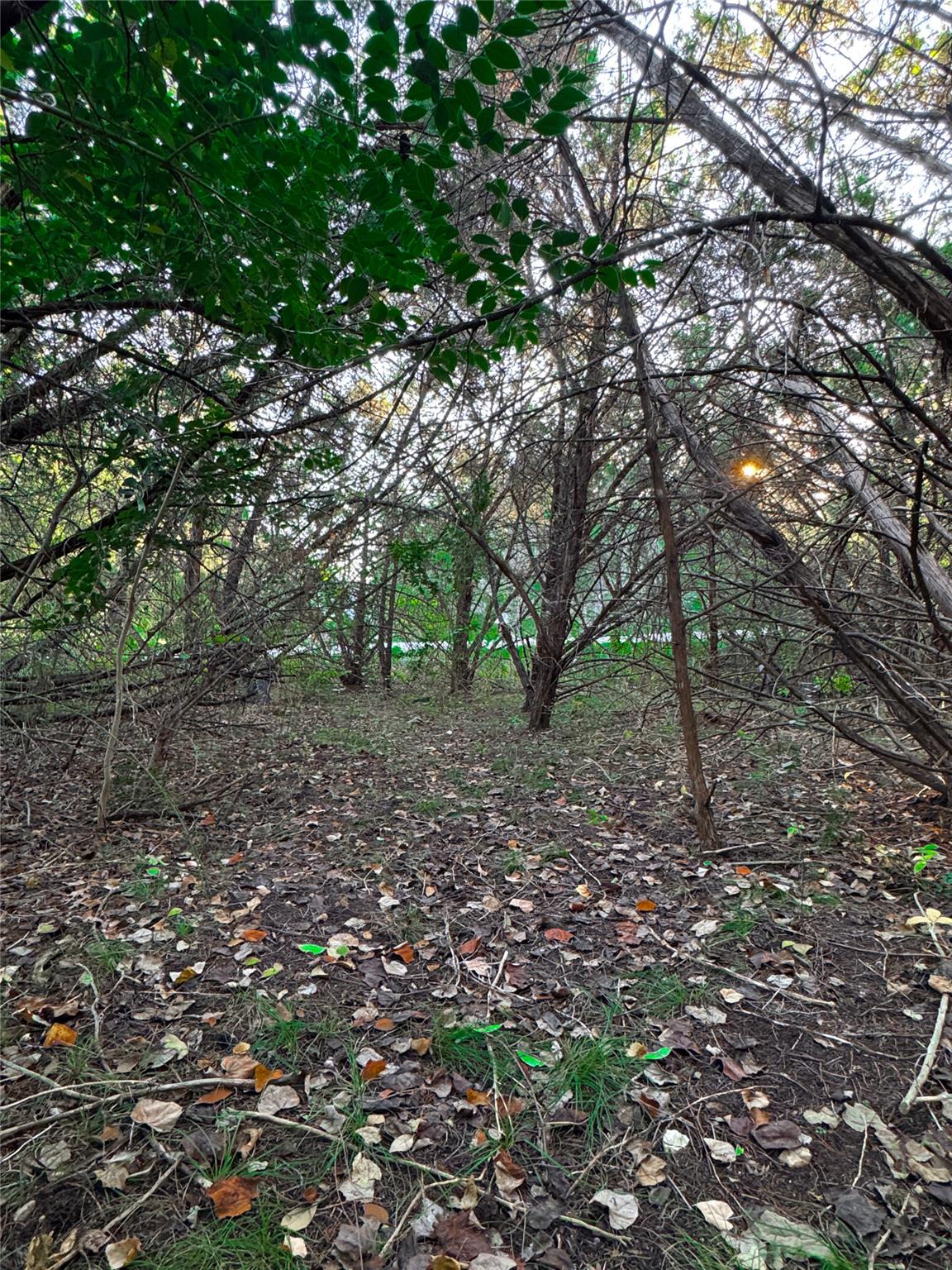 15104 S Flamingo Dr, Austin, TX 78734