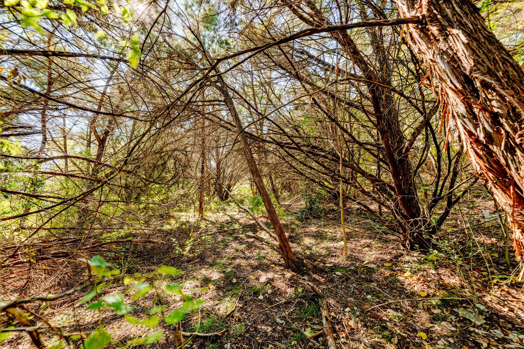 15104 S Flamingo Dr, Austin, TX 78734