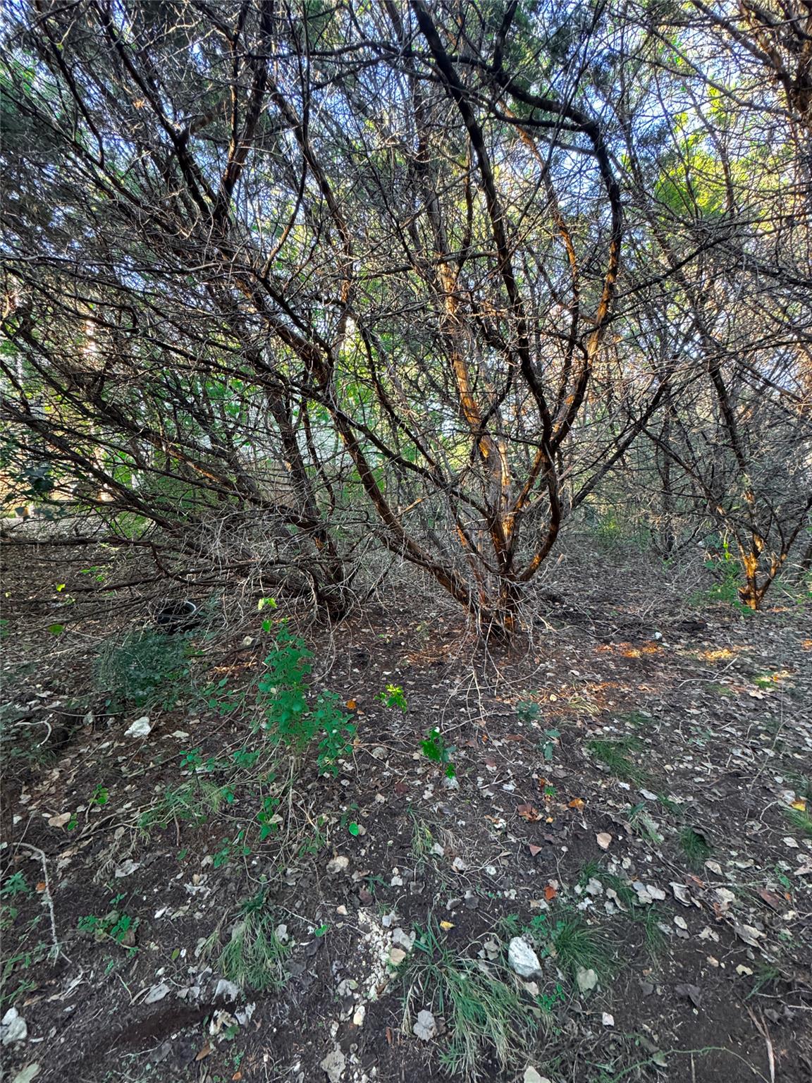 15104 S Flamingo Dr, Austin, TX 78734