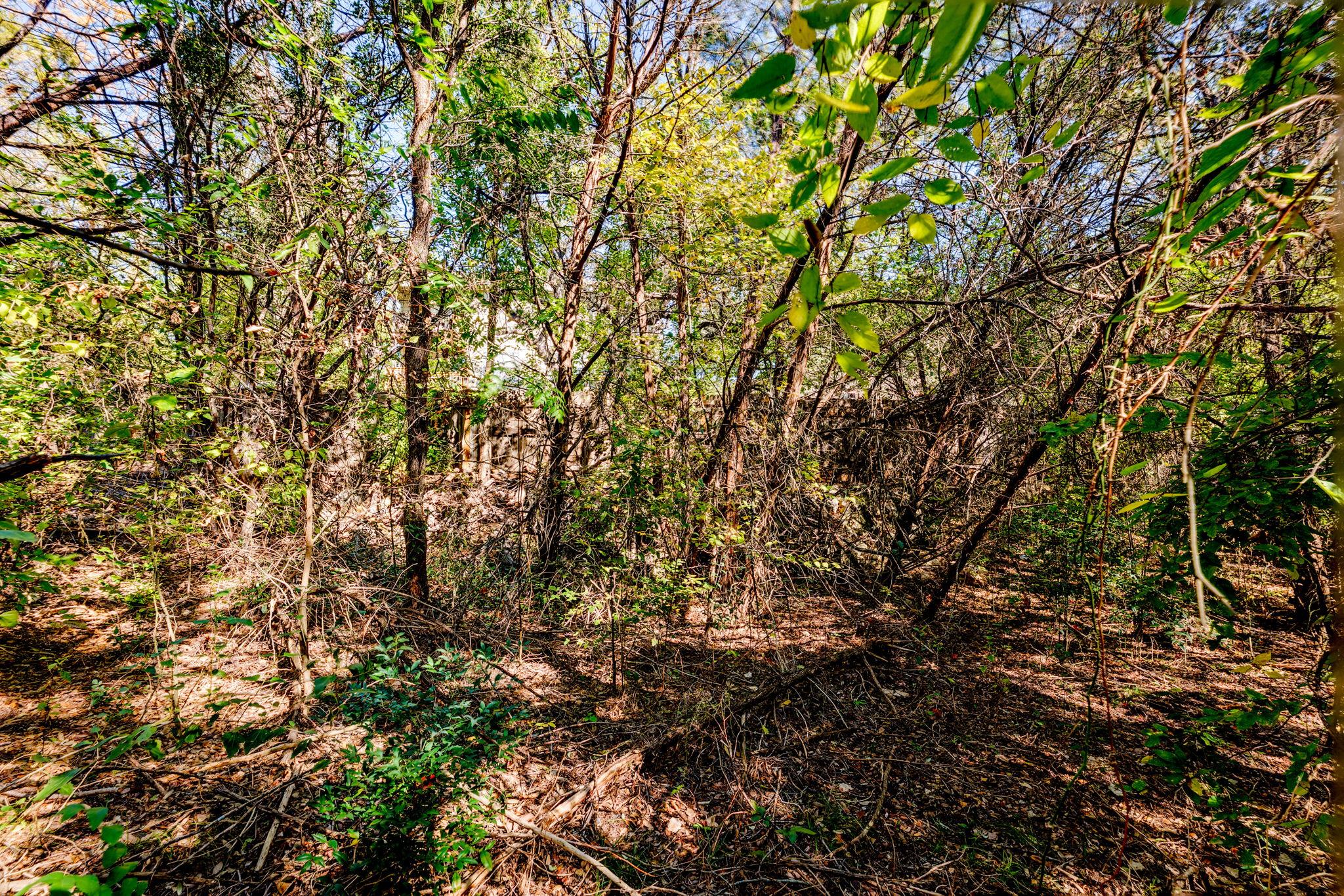 15104 S Flamingo Dr, Austin, TX 78734