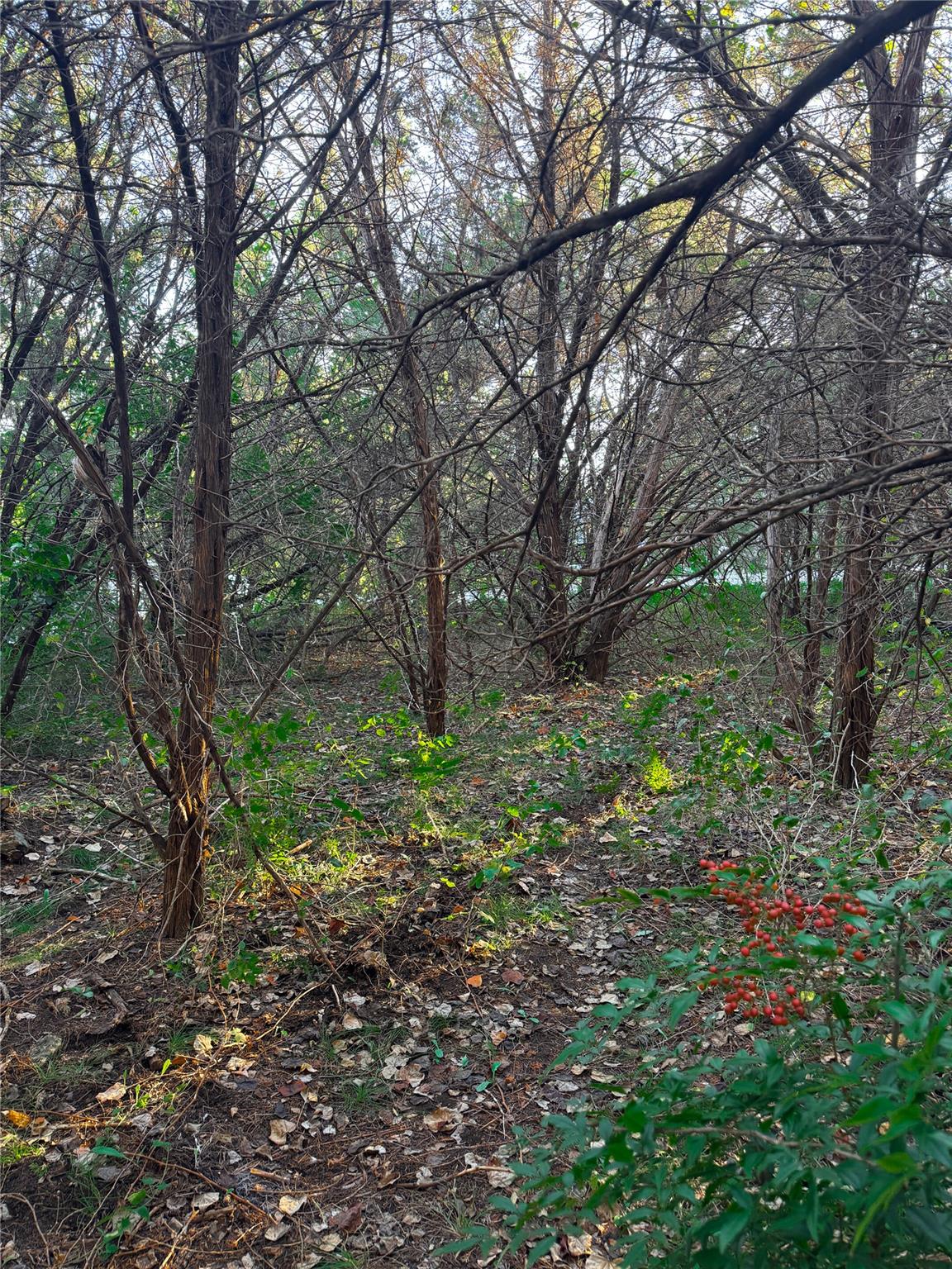 15104 S Flamingo Dr, Austin, TX 78734