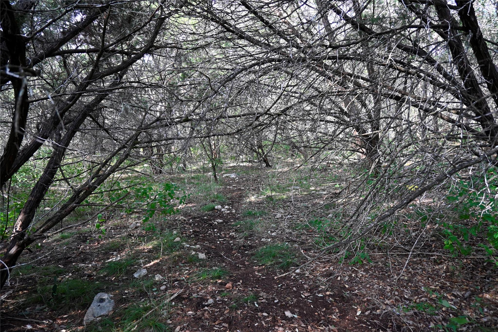 722 Cambridge Dr, New Braunfels, TX 78132