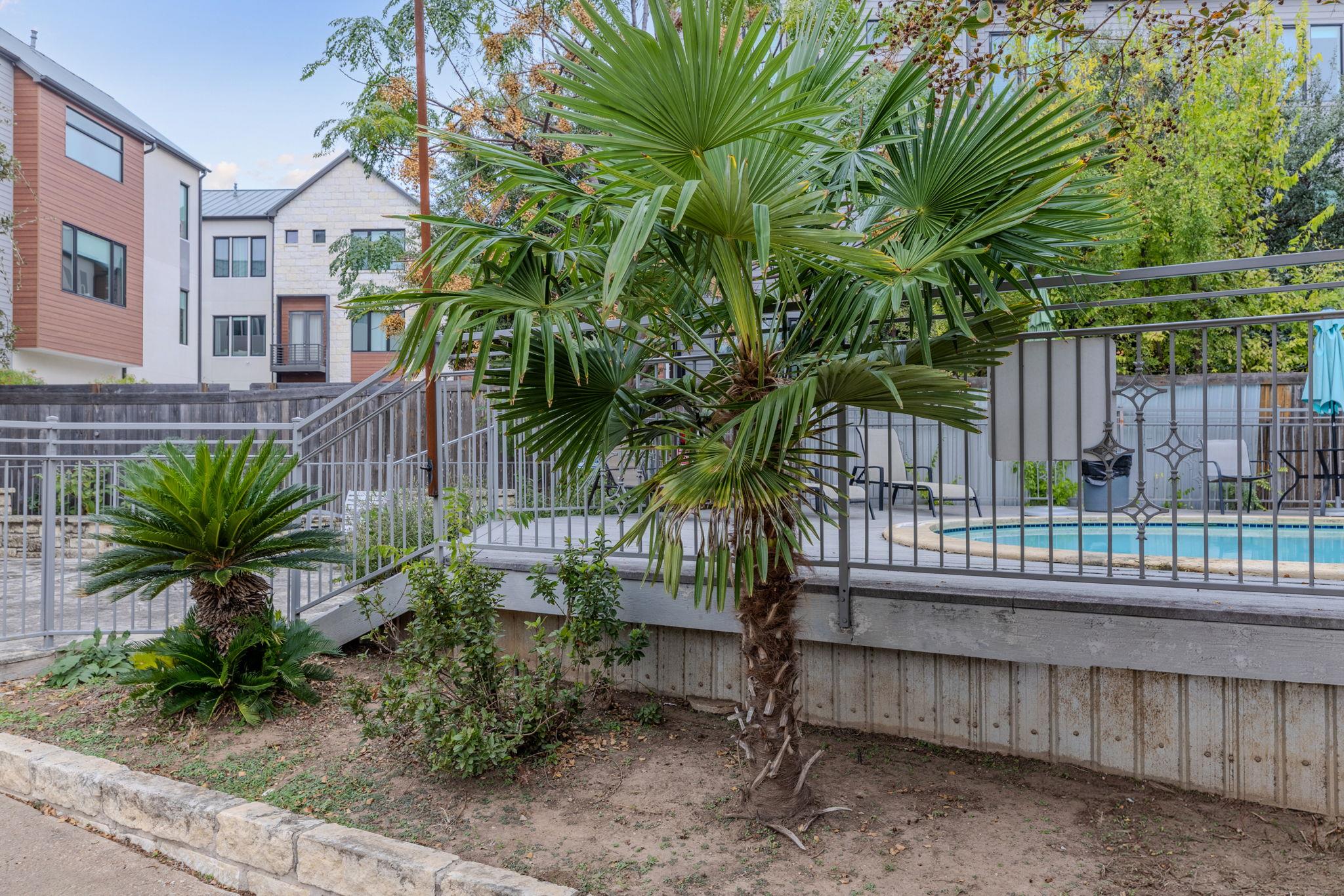 3204 Menchaca Rd # 710, Austin, TX 78704