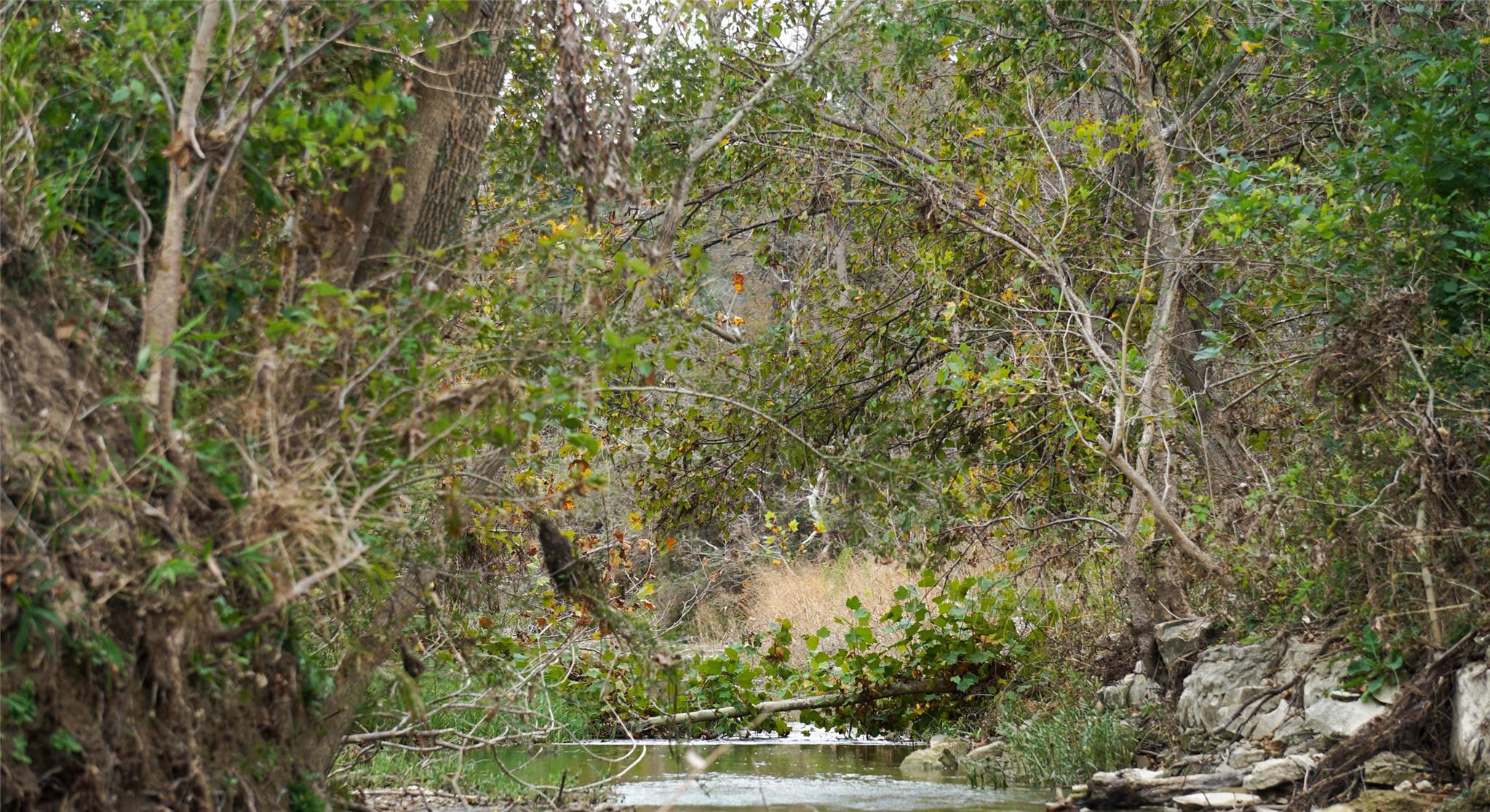 000 River Run, Leander, TX 78641