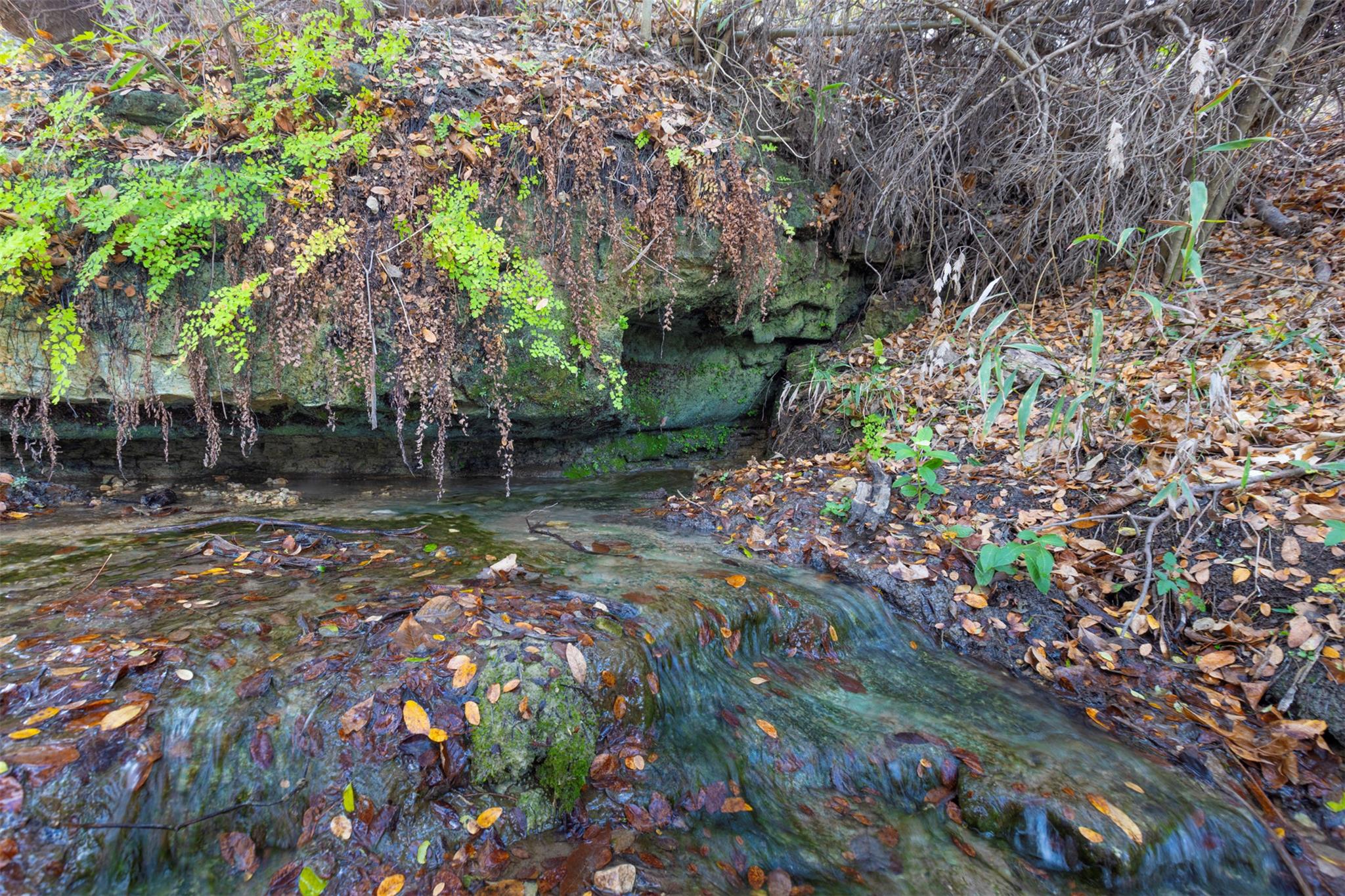 000 River Run, Leander, TX 78641