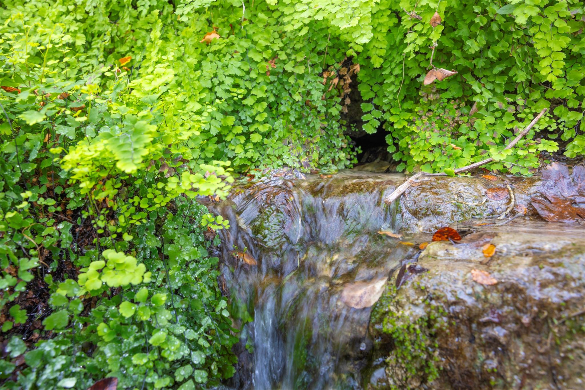 000 River Run, Leander, TX 78641