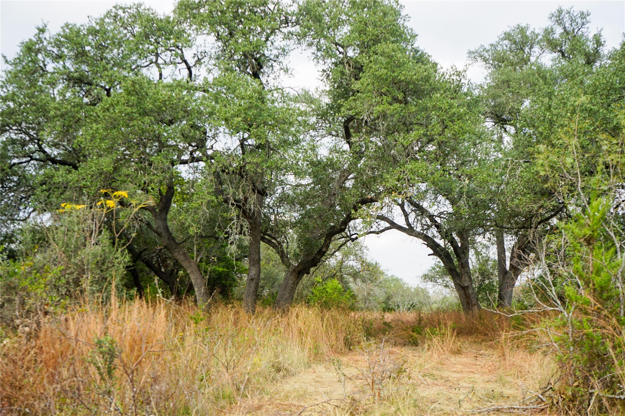 000 River Run, Leander, TX 78641