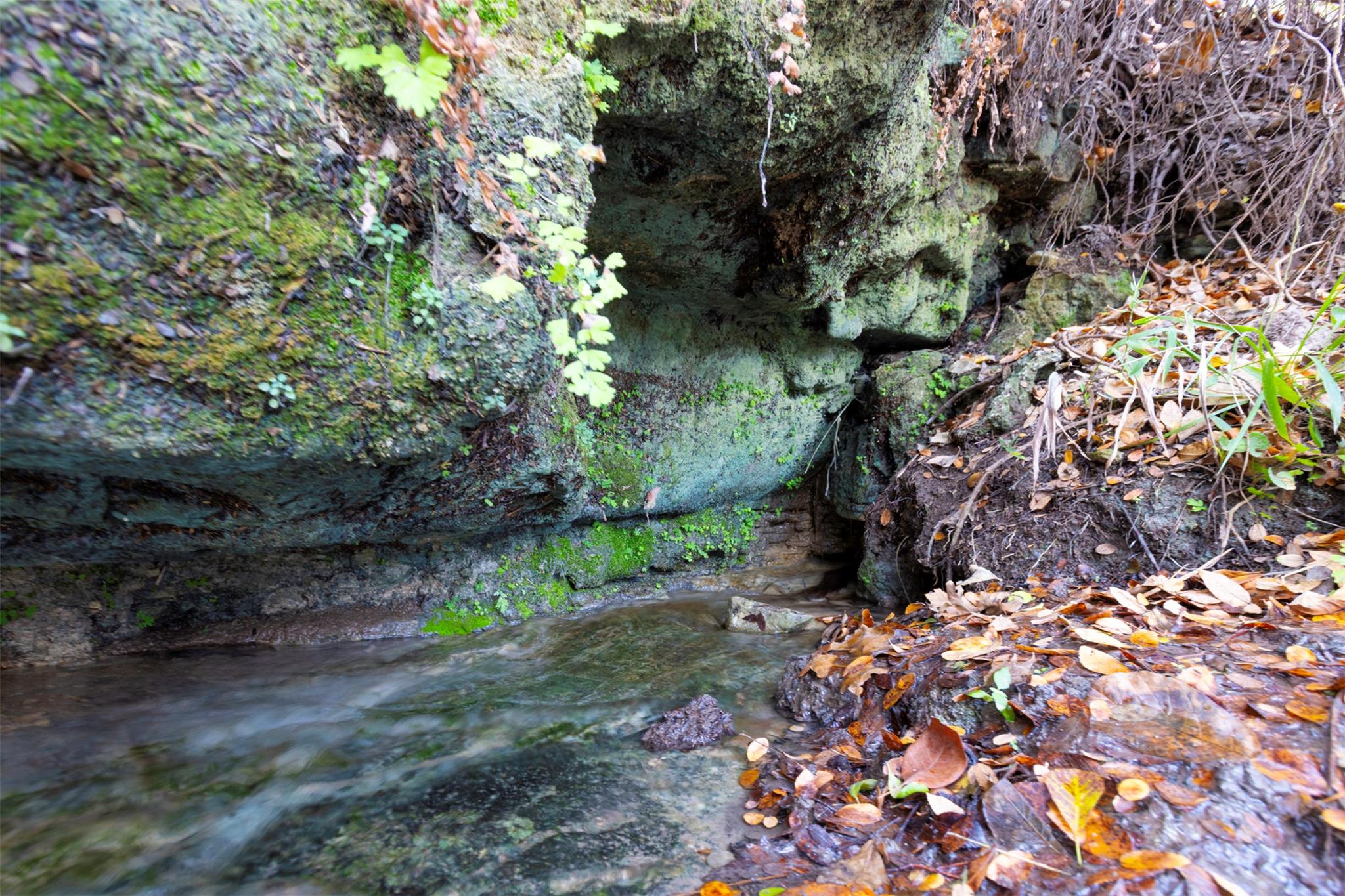 000 River Run, Leander, TX 78641