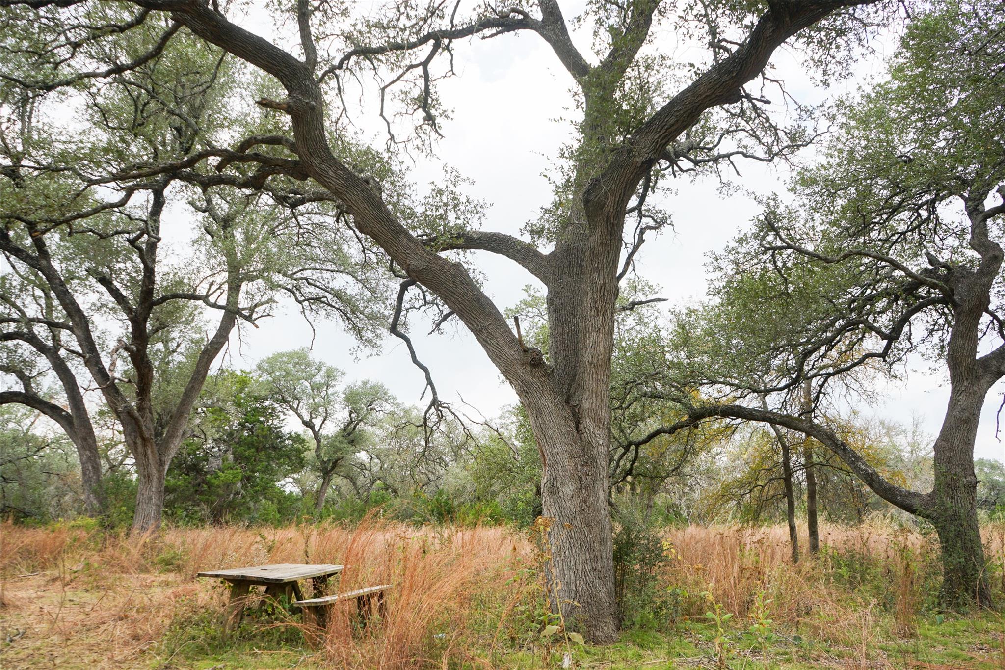 000 River Run, Leander, TX 78641