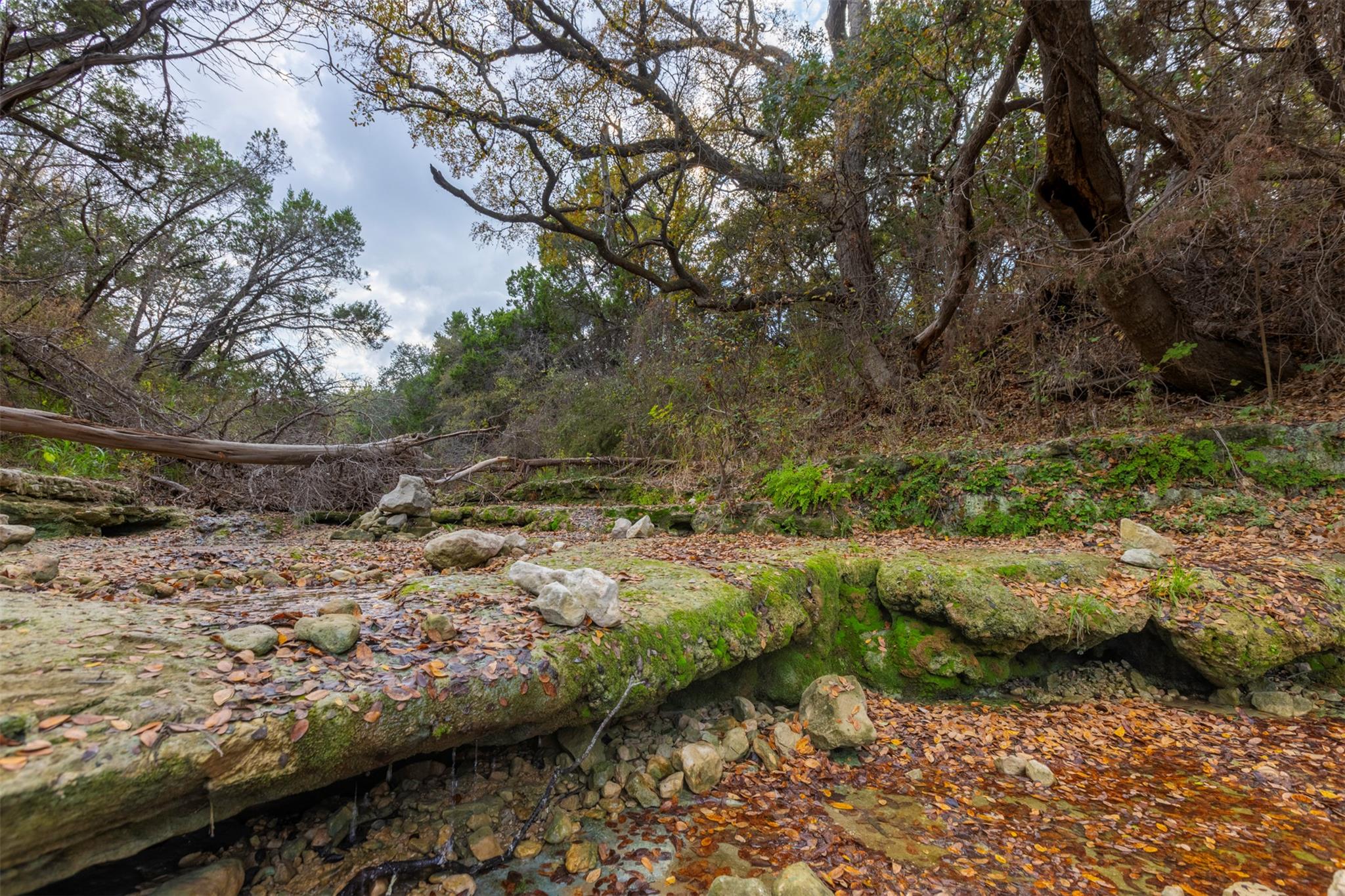 000 River Run, Leander, TX 78641