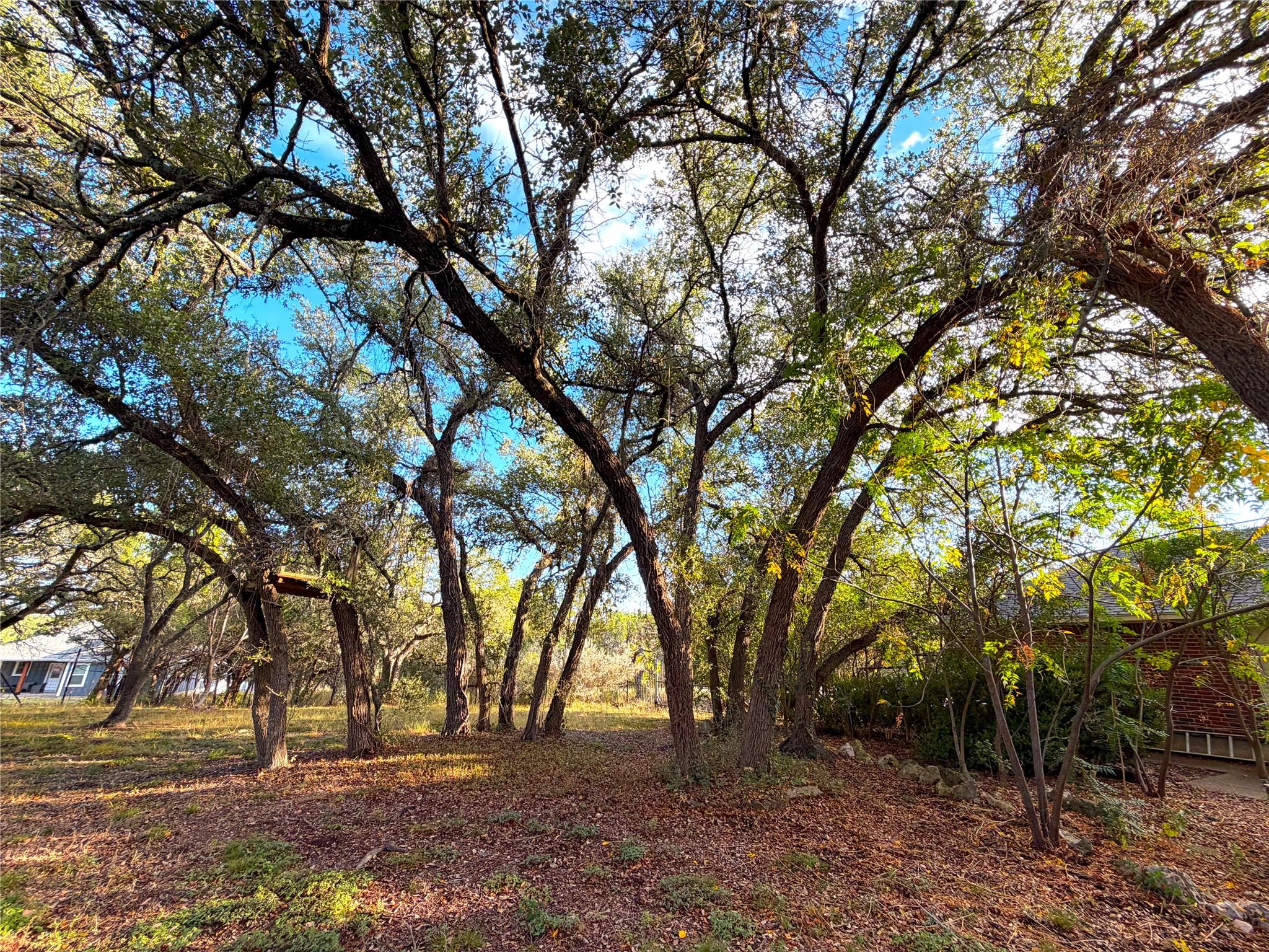 2741 Connie Dr, Canyon Lake, TX 78133