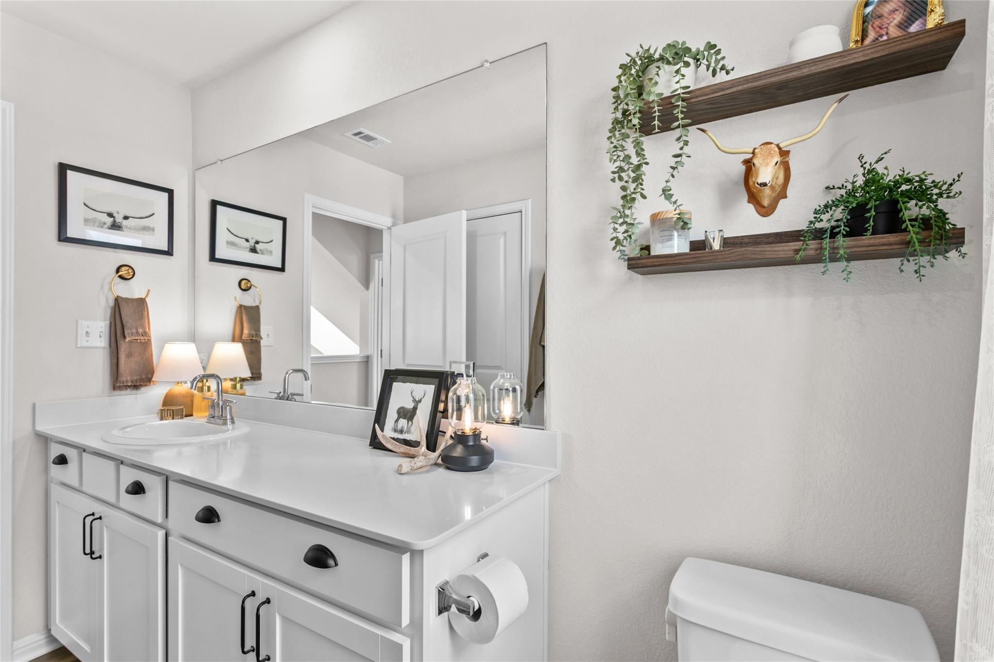 376 Lost Mine Peak Ln, Dripping Springs, TX 78620