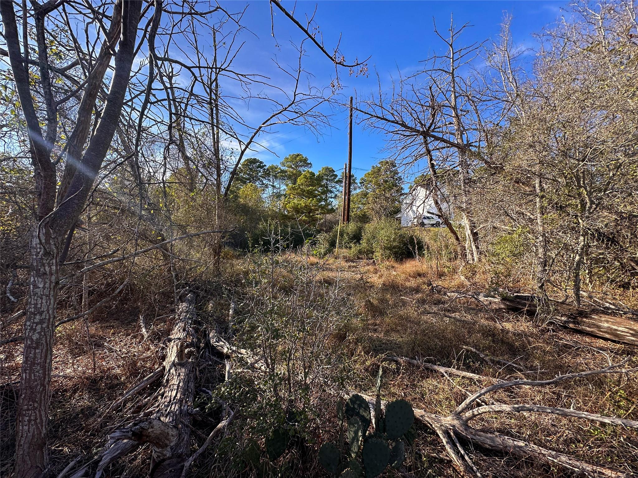 243 Hanauma Dr, Bastrop, TX 78602