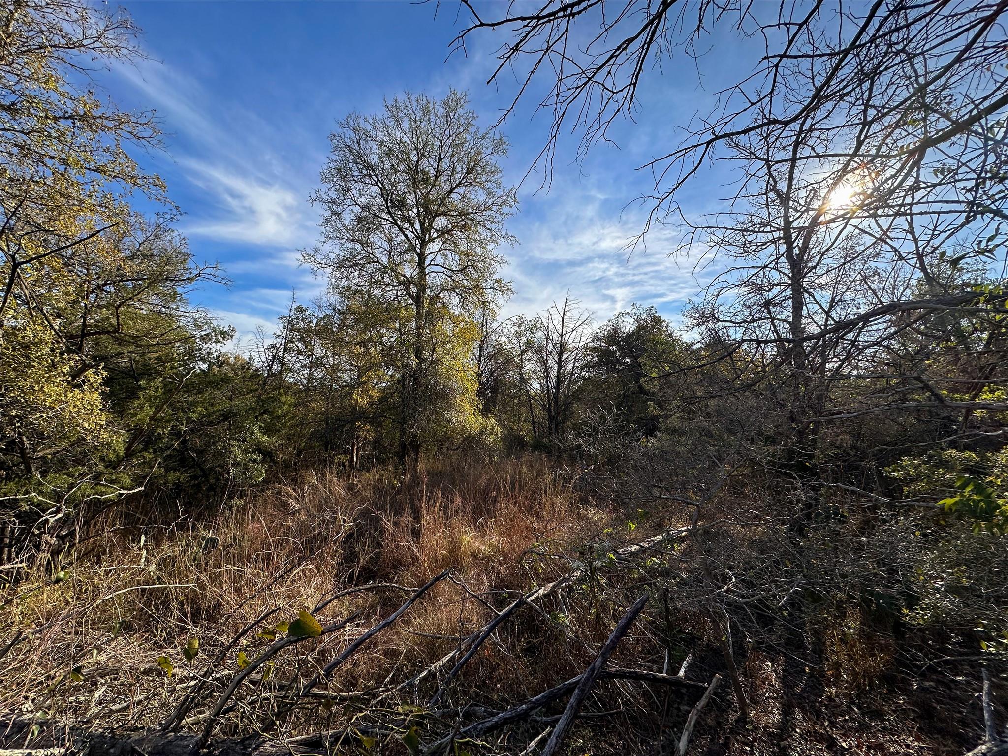 243 Hanauma Dr, Bastrop, TX 78602