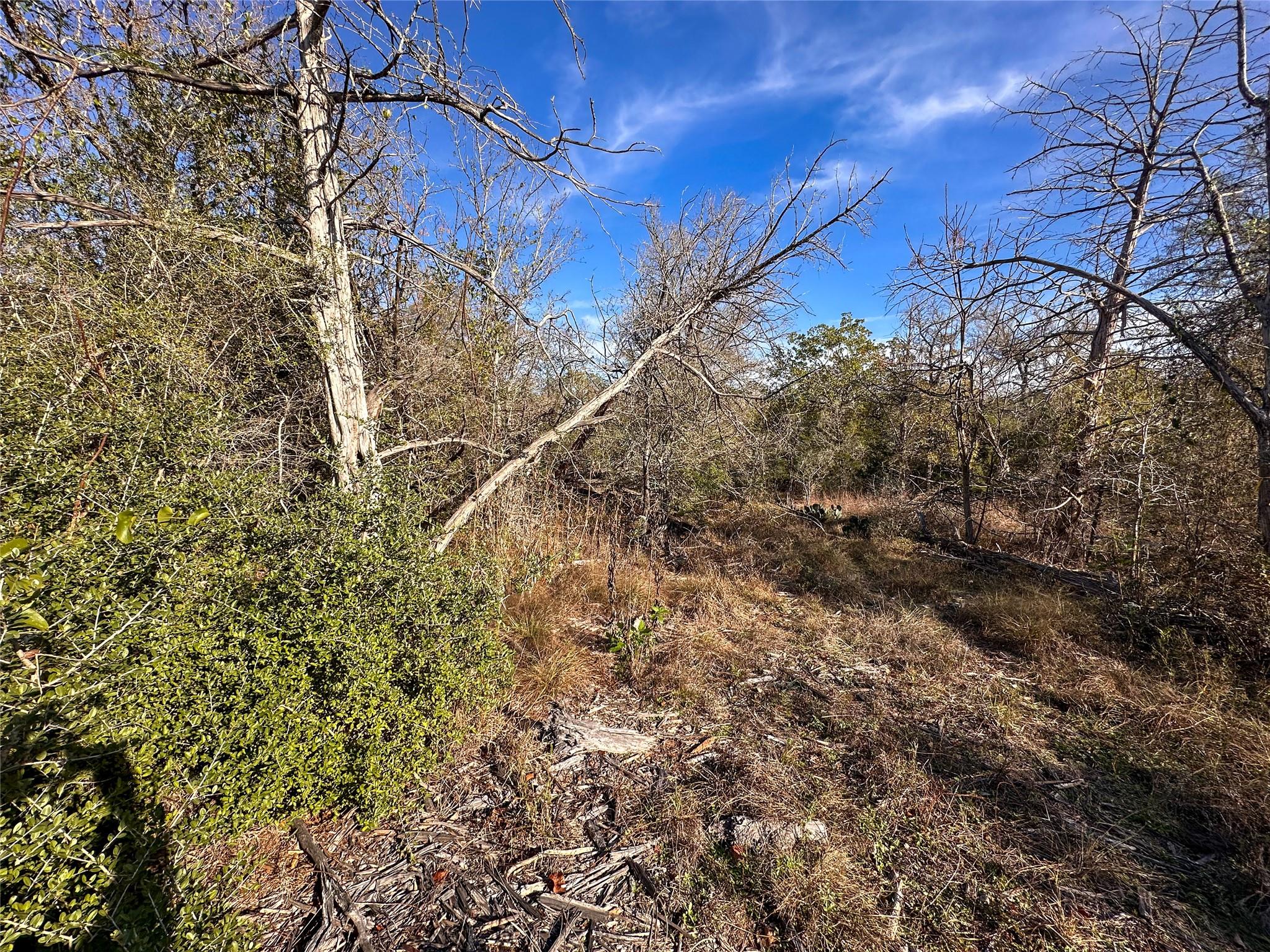 243 Hanauma Dr, Bastrop, TX 78602