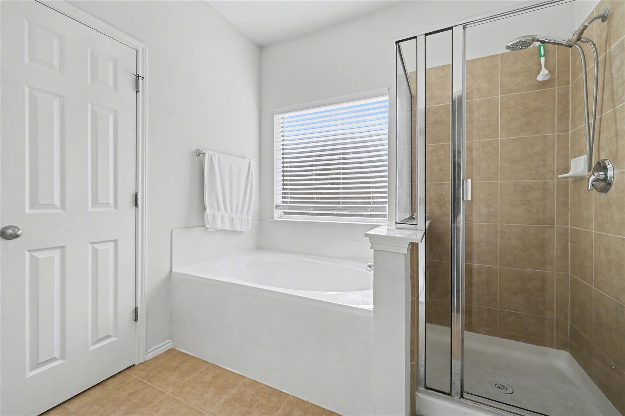 1520 Tonia Loop, Round Rock, TX 78665