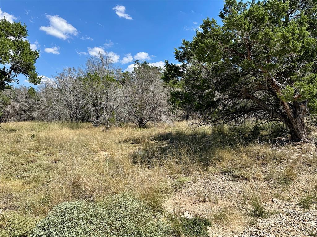 21806 O Henry Ave, Lago Vista, TX 78645