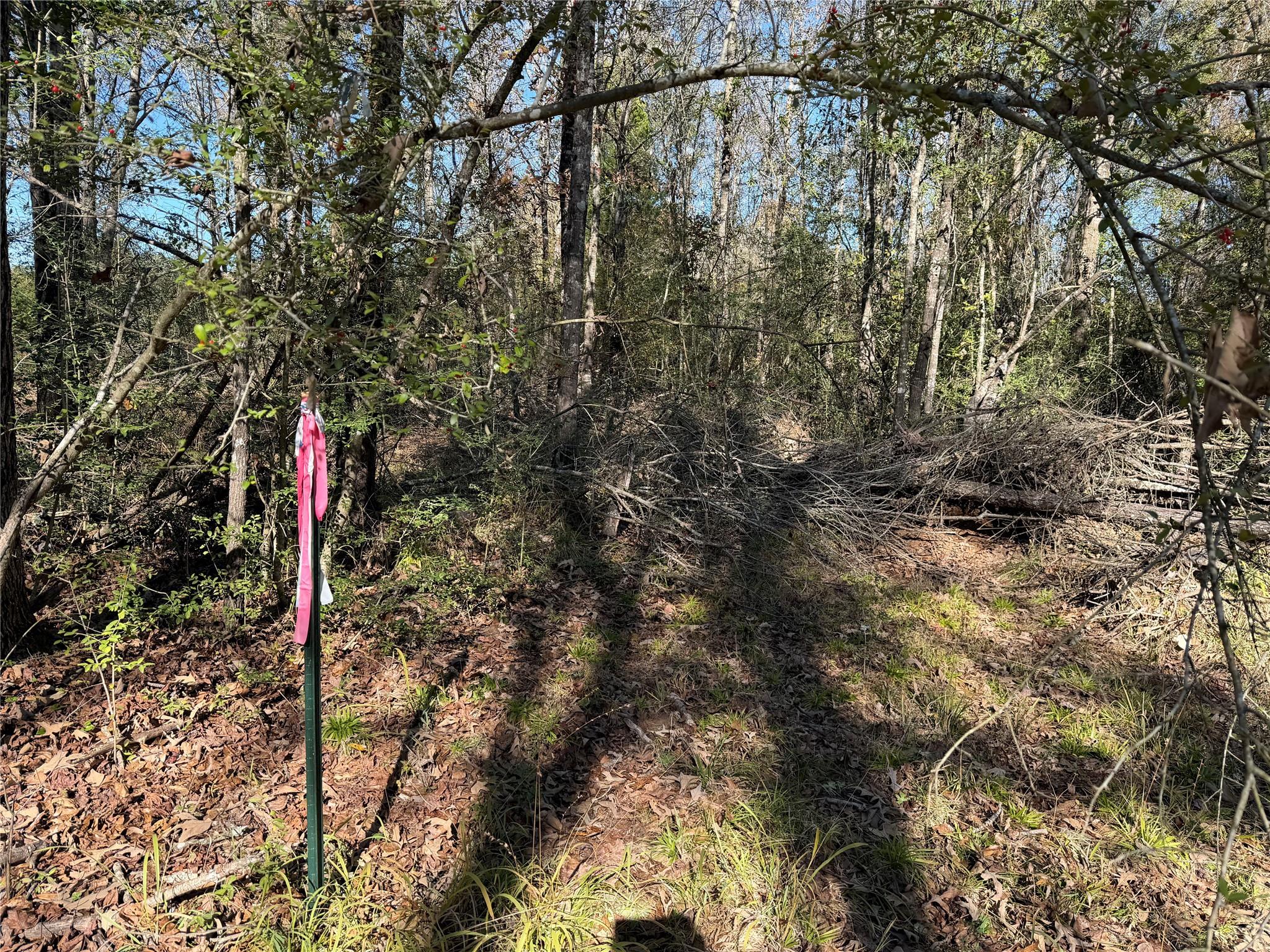 TBD County Road 301 Tract 7 Rd, Fairfield, TX 75855