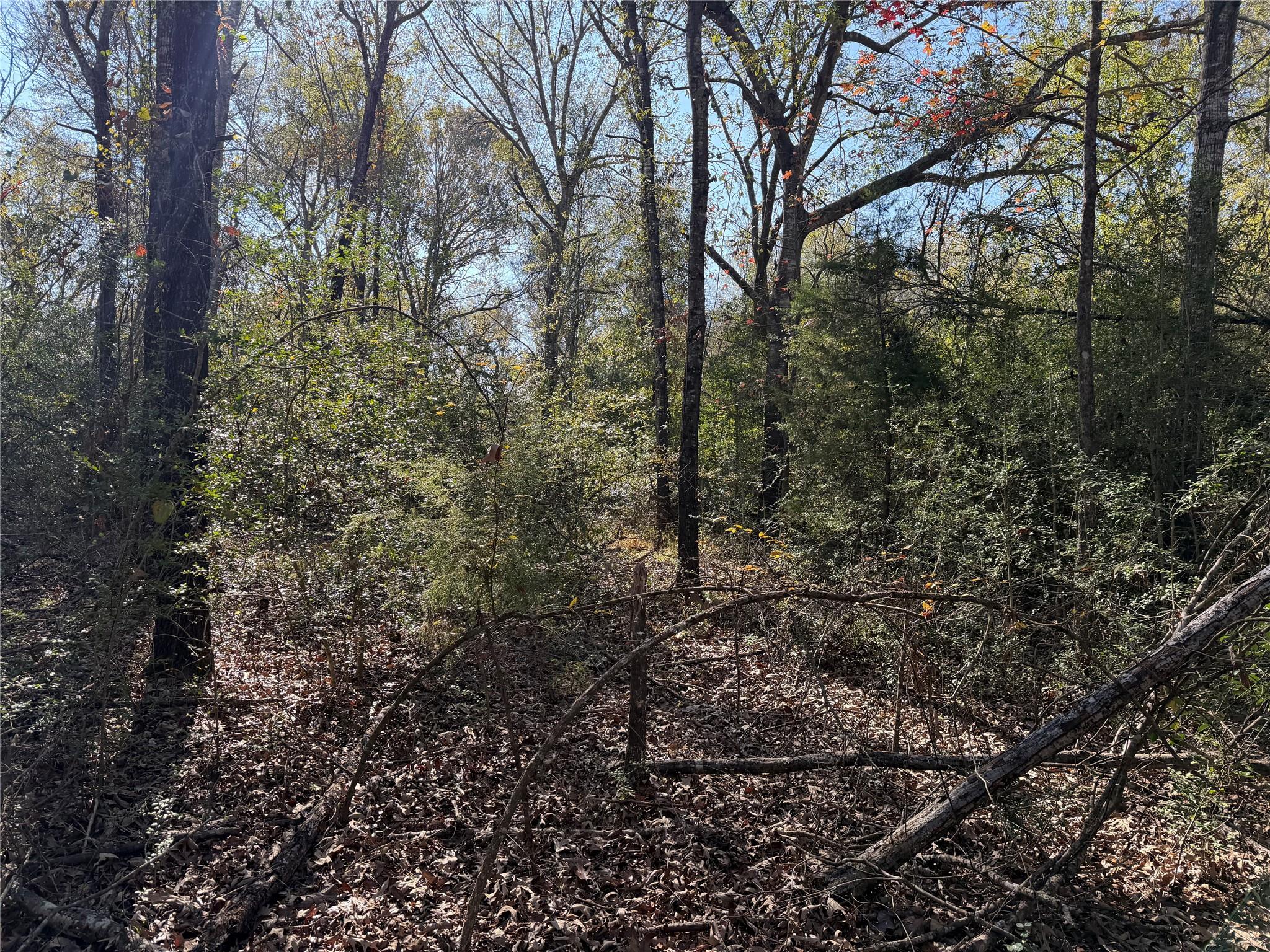 TBD County Road 301 Tract 7 Rd, Fairfield, TX 75855