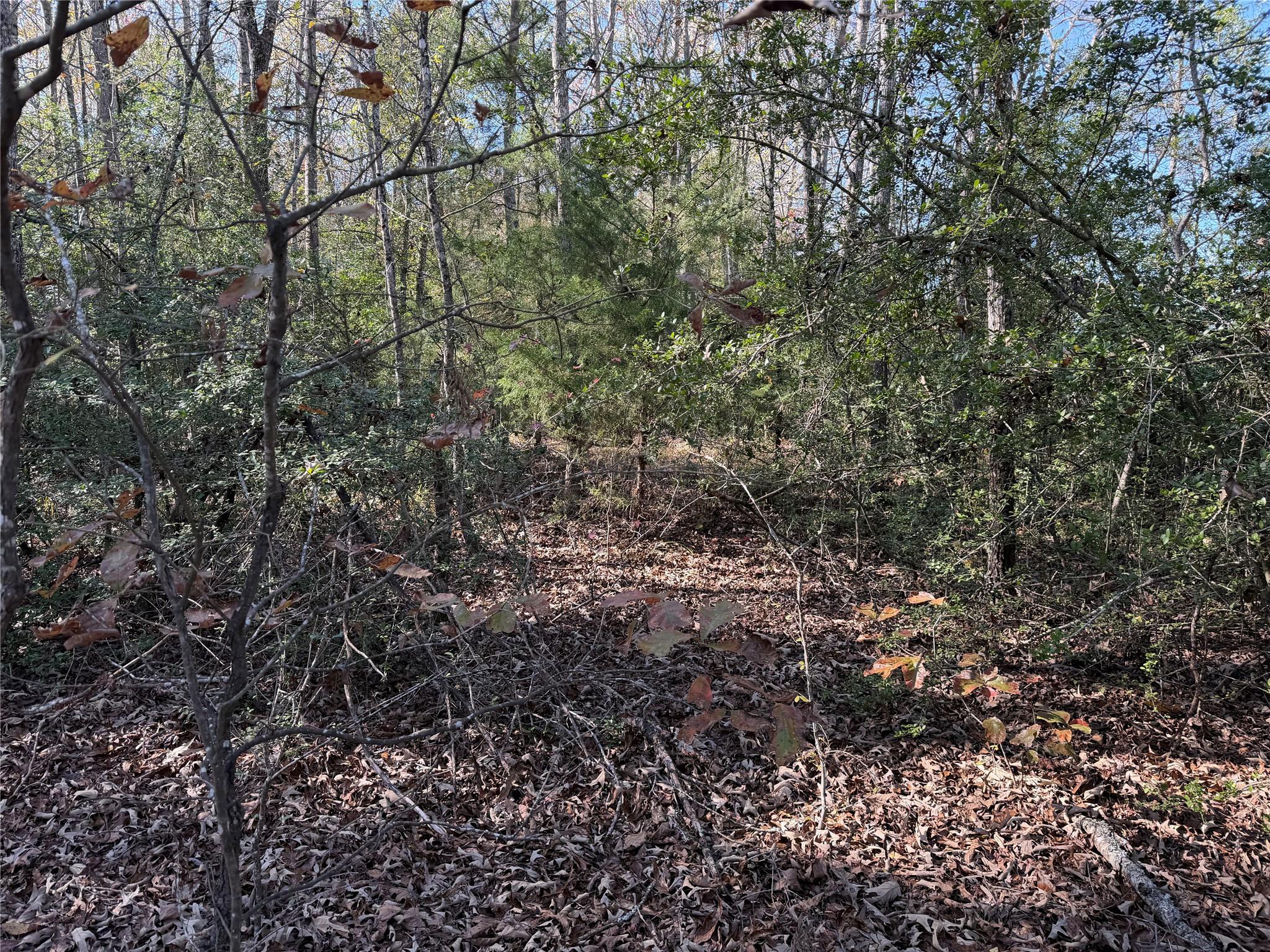 TBD County Road 301 Tract 7 Rd, Fairfield, TX 75855