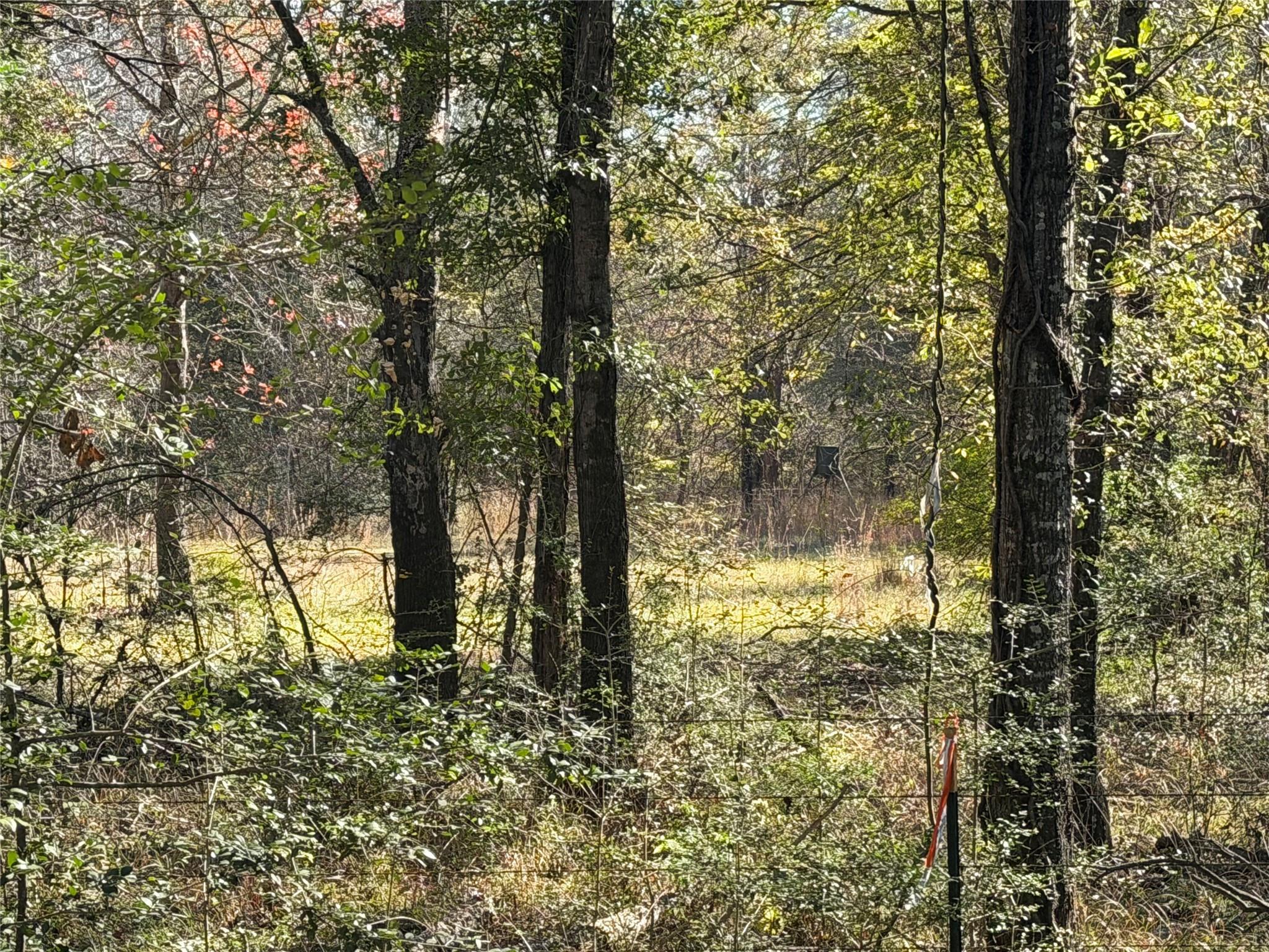 TBD County Road 301 Tract 7 Rd, Fairfield, TX 75855