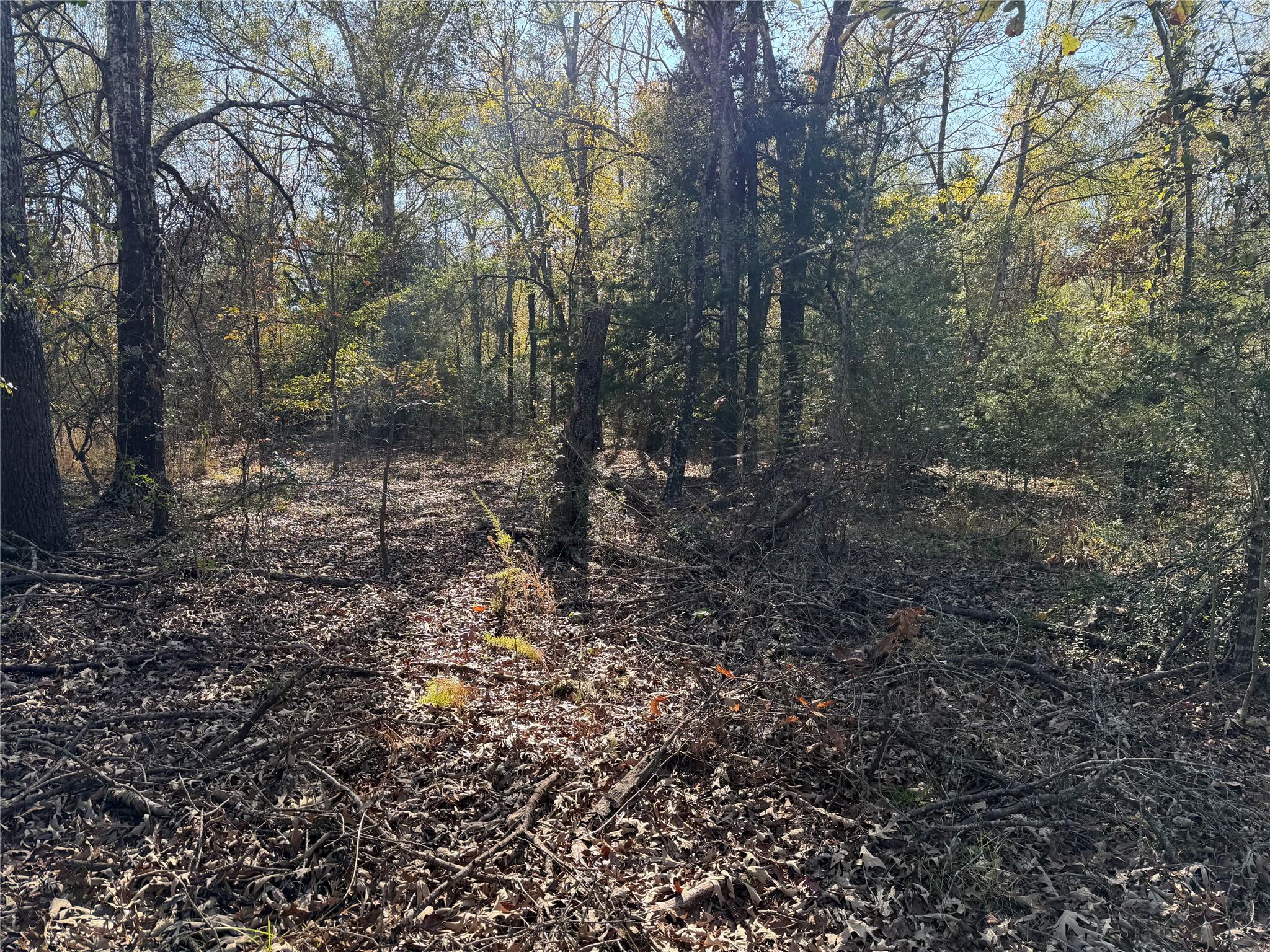 TBD County Road 301 Tract 7 Rd, Fairfield, TX 75855