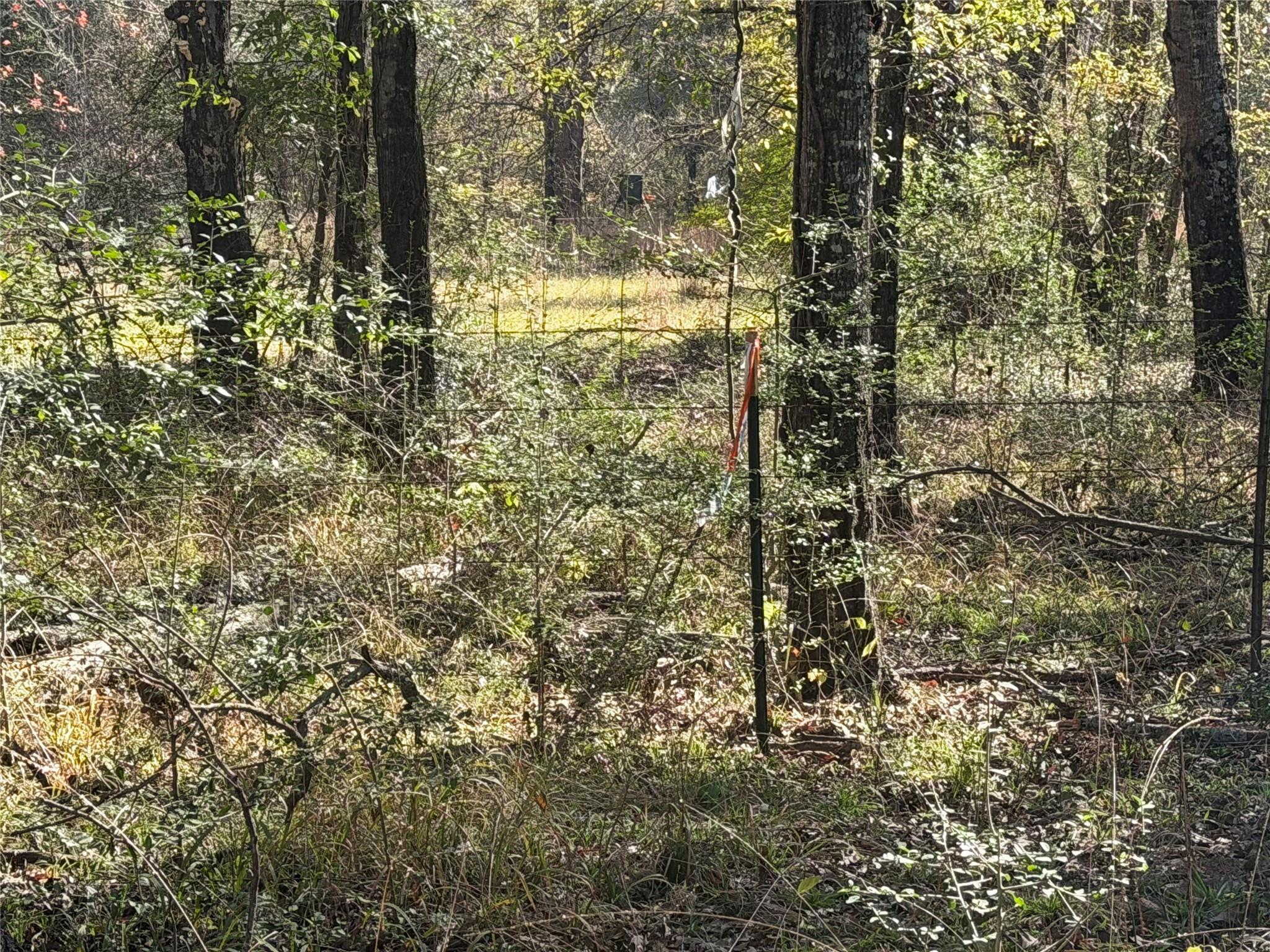 TBD County Road 301 Tract 7 Rd, Fairfield, TX 75855