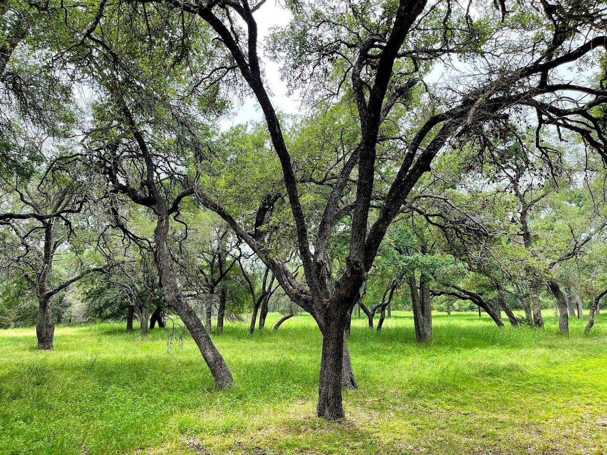 TBD Ranch Road 12, Dripping Springs, TX 78620