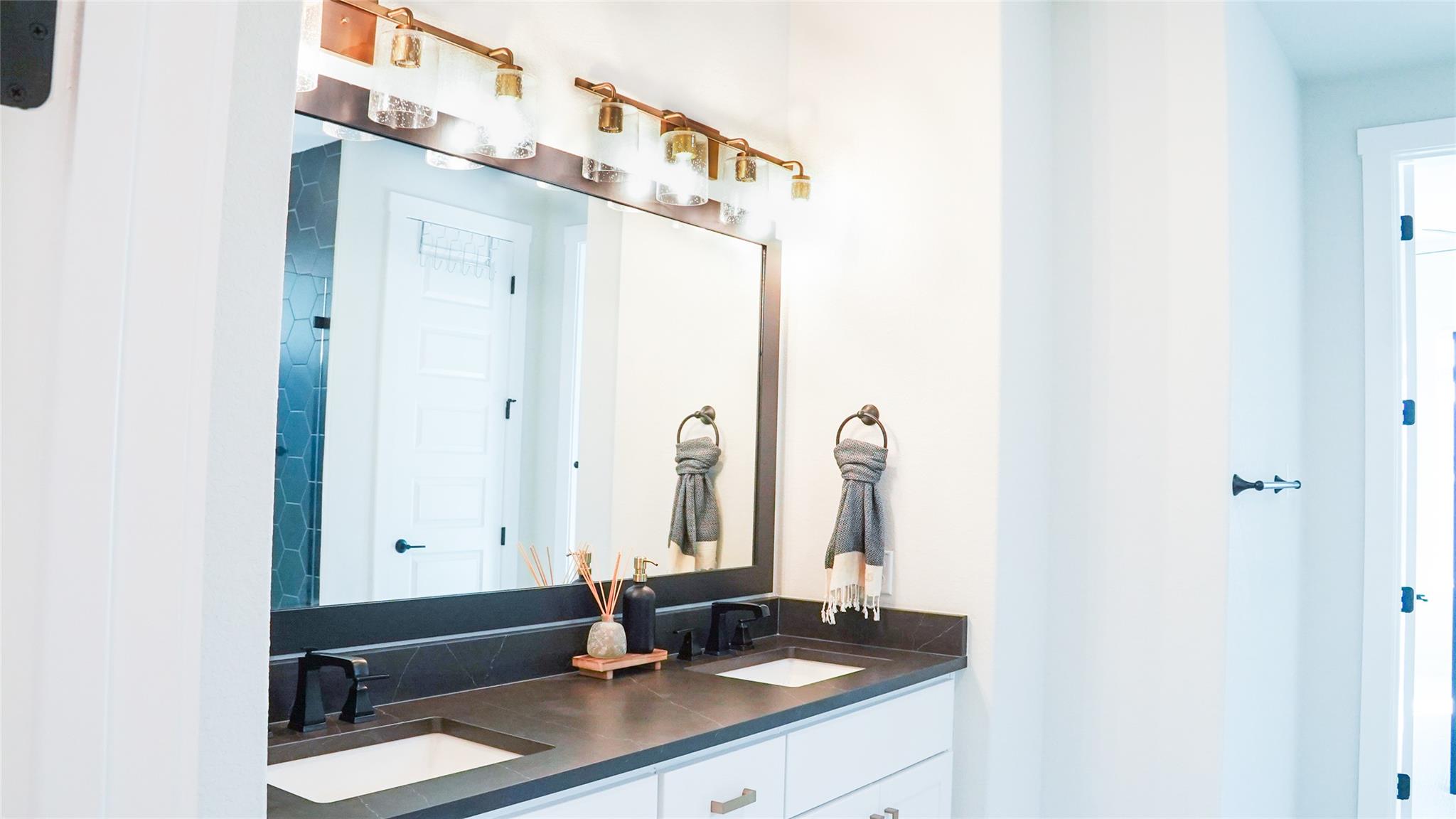 2825 Roost Ln, Round Rock, TX 78665