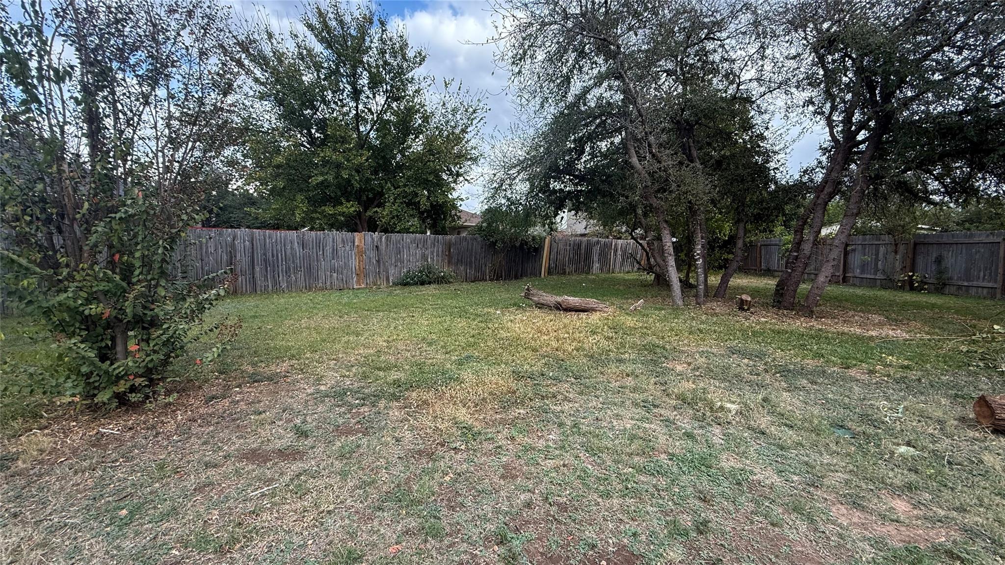 1012 Ranier Cv, Round Rock, TX 78665