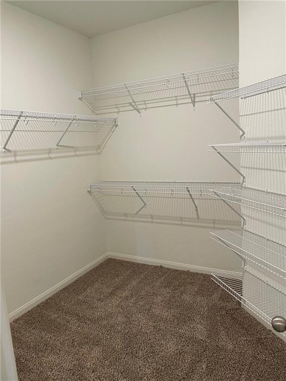 143 Constitution St, Liberty Hill, TX 78642