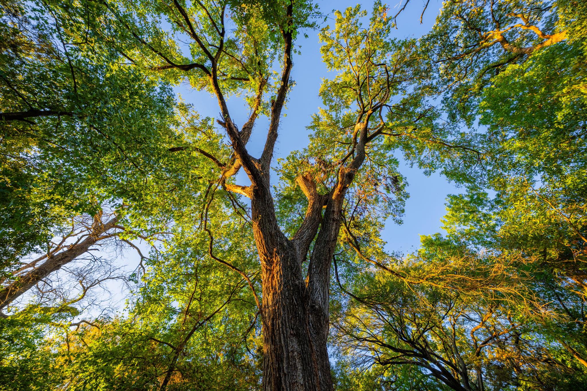 2574 County Road 211, Hico, TX 76457