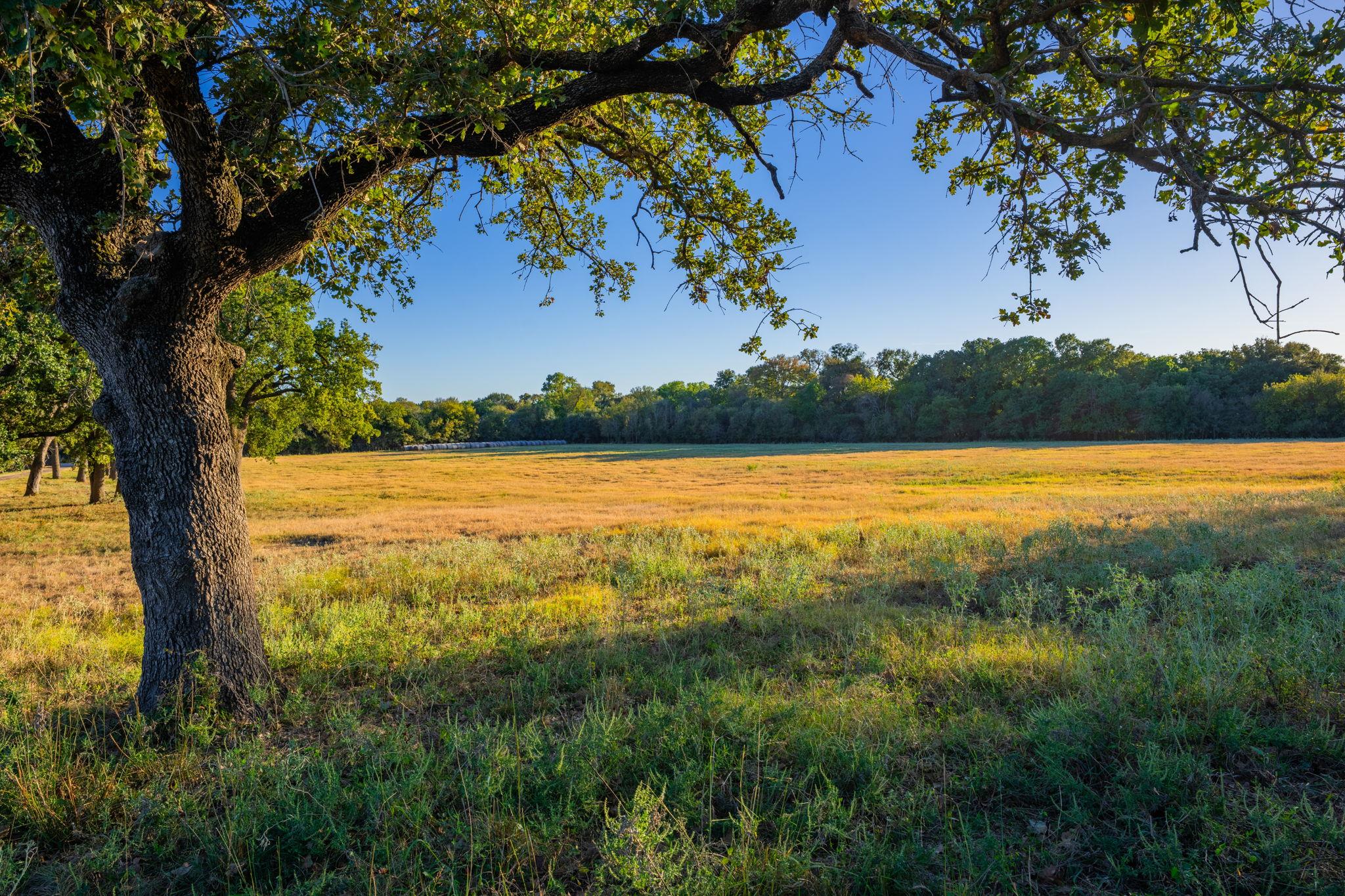 2574 County Road 211, Hico, TX 76457