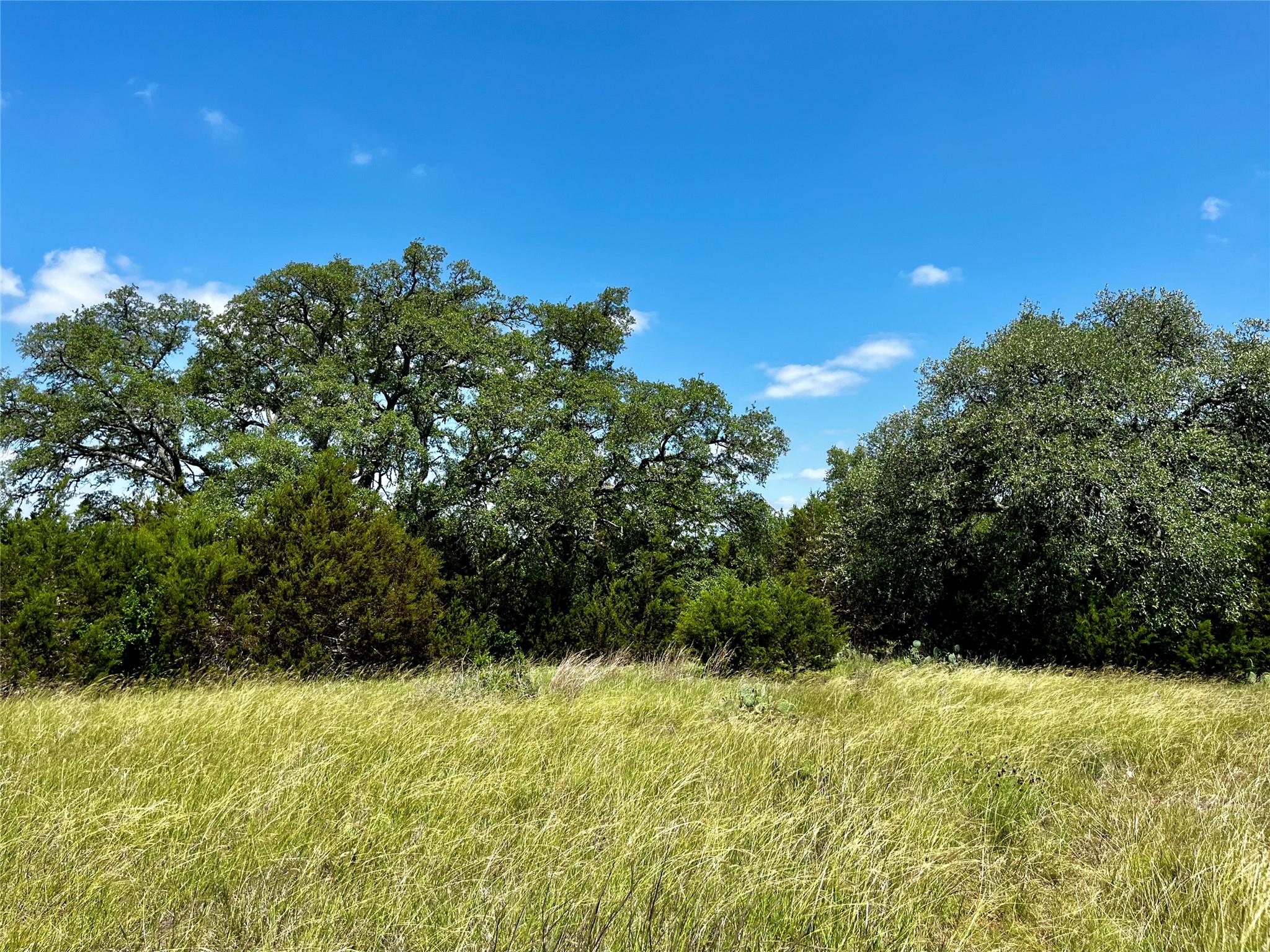 831 Hidden Creek Dr, Dripping Springs, TX 78620