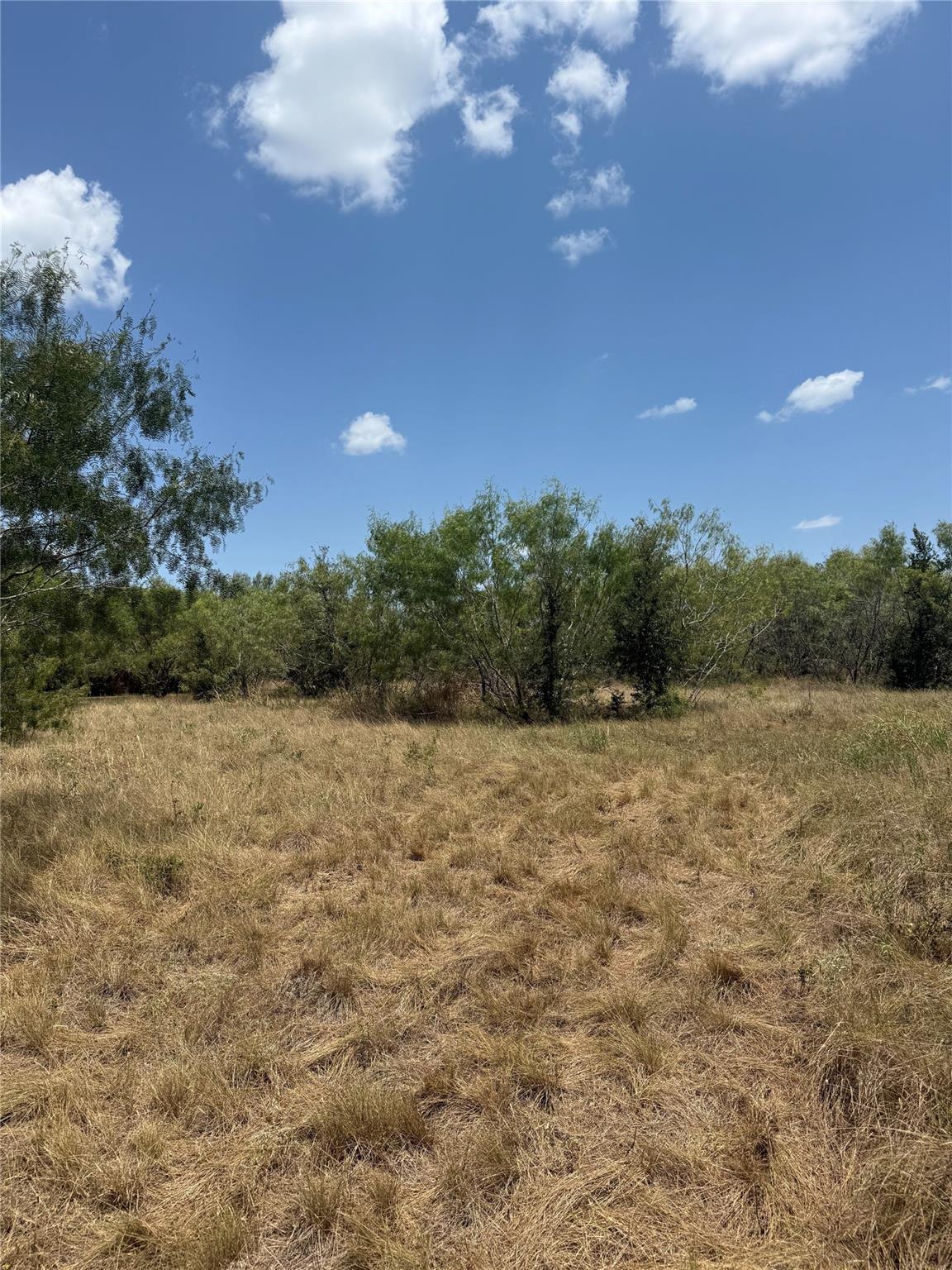 8400 Pettytown Rd, Red Rock, TX 78662