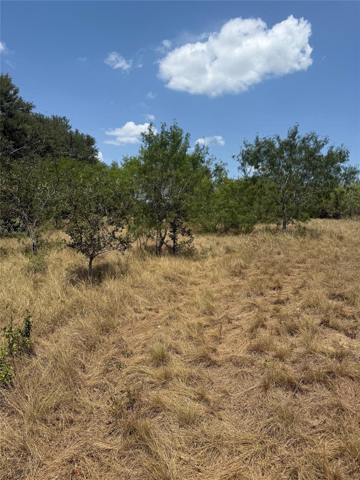 8400 Pettytown Rd, Red Rock, TX 78662